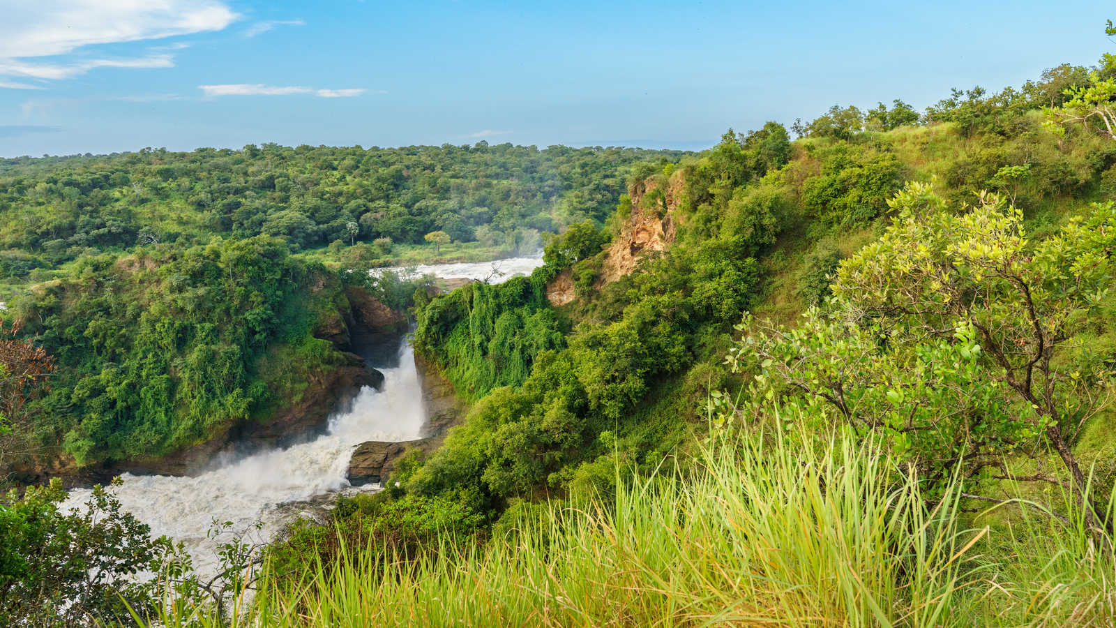 Paysage dans le parc national du Murchison Falls au Rwanda © Hortigüela