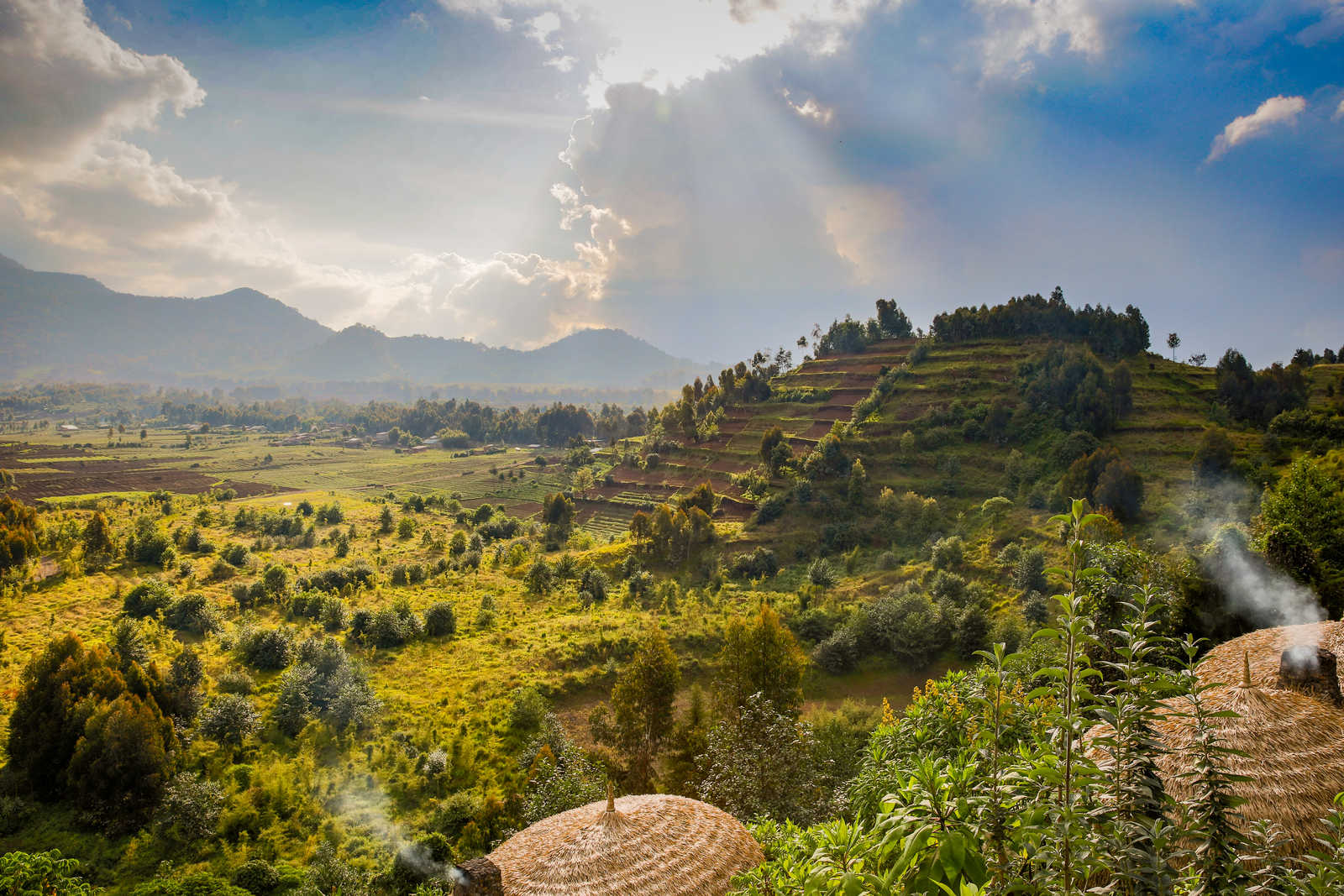 Paysage dans le parc national du Ruwenzori en Ouganda © Djoslin