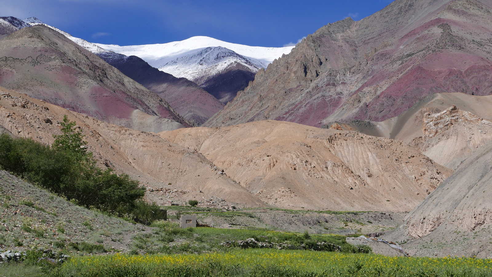 Paysage de la vallée de la Markha, au Ladakh, en Inde Himalayenne © Drieux Fanny