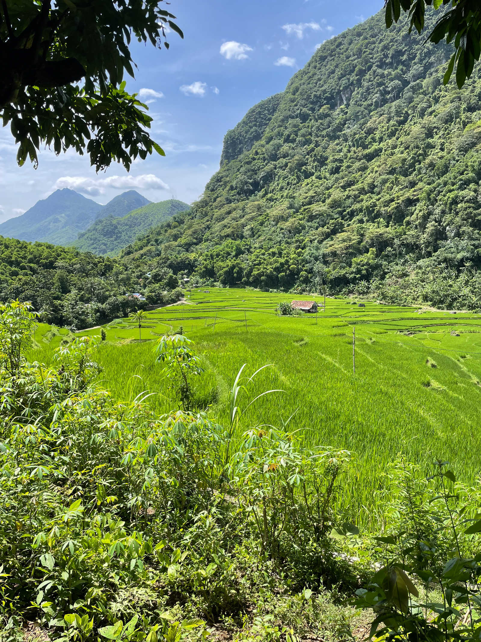 paysage de la vallée de Maïchau au Vietnam © Leborgne Dora