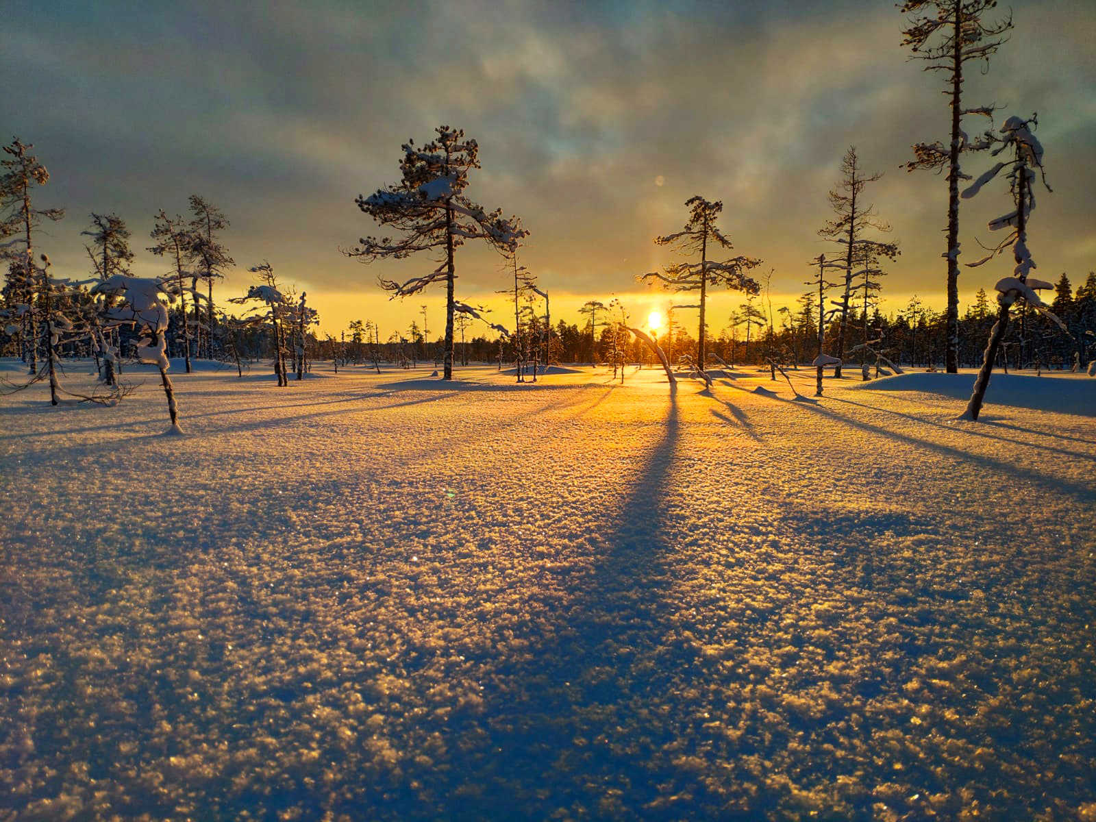 Laponie l'hiver © Verbrugghe Adrien