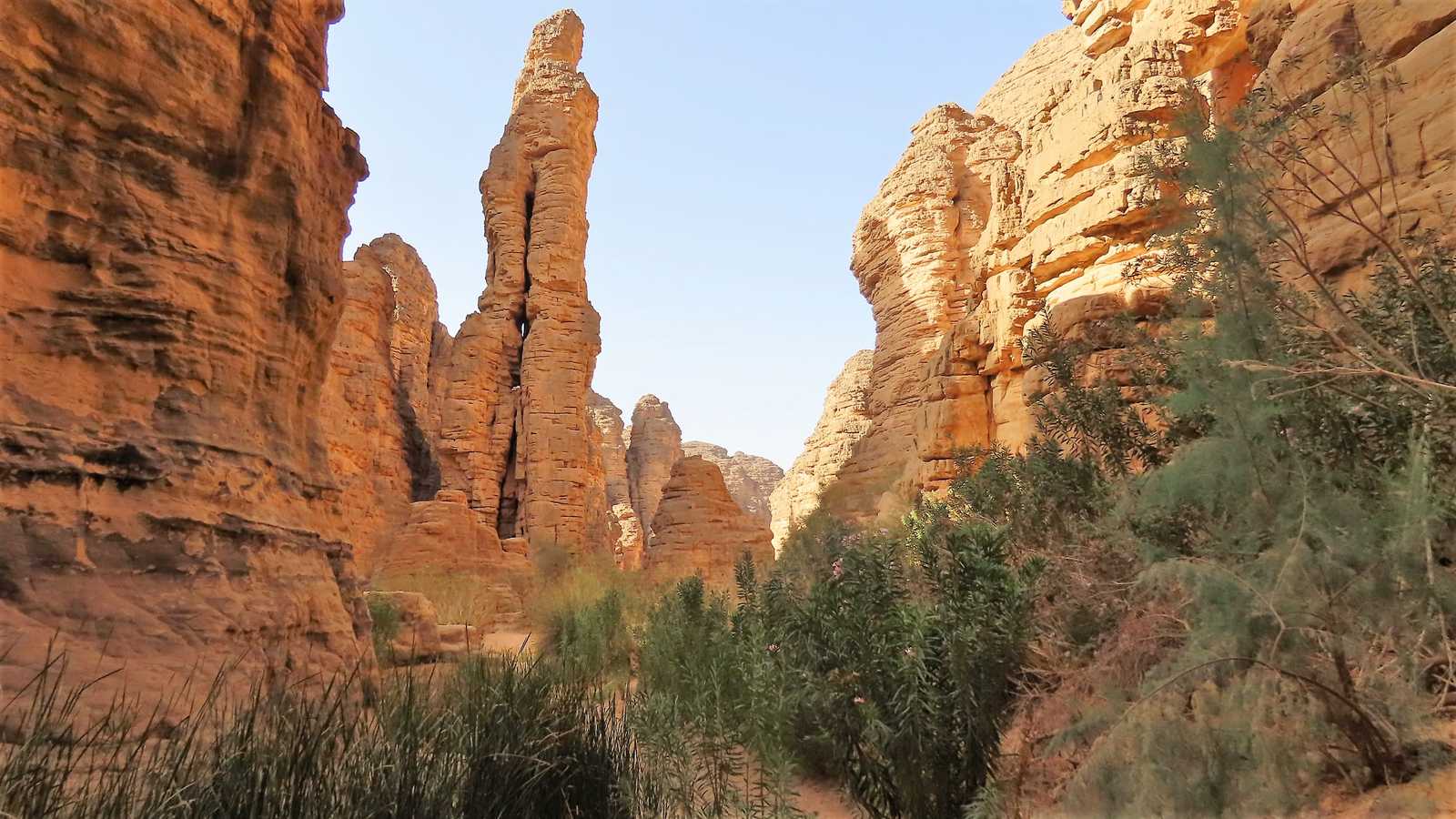 Paysage du canyon d'Essendilène, en Algérie © Grally Florian