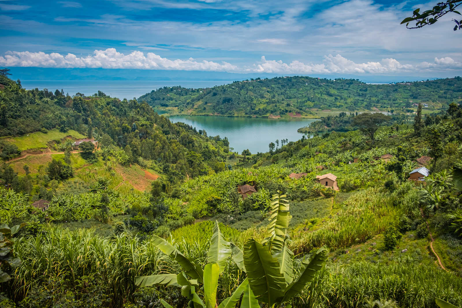 Paysage du lac Kivu au Rwanda © Yann