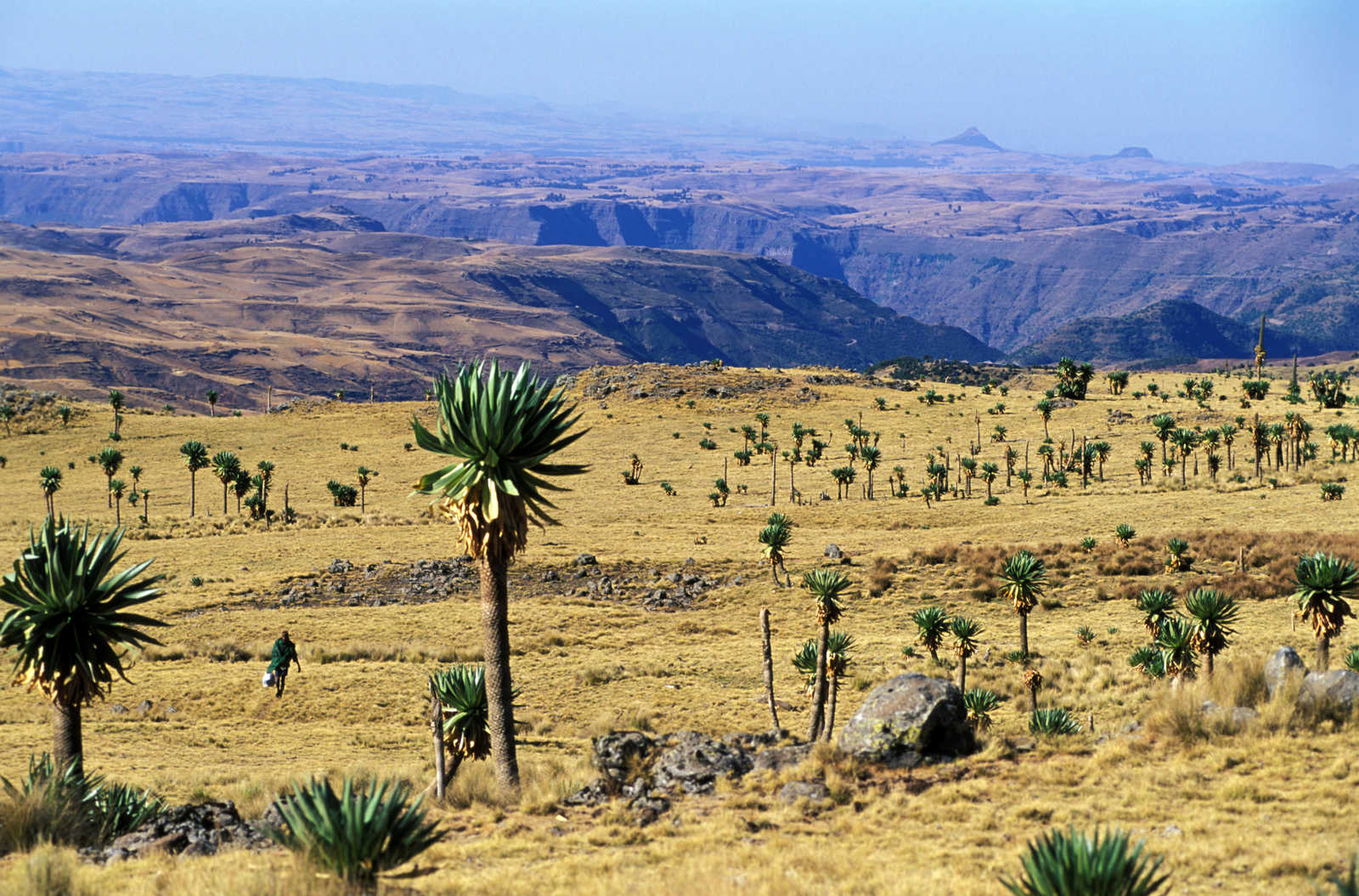 Image Du royaume d'Abyssinie au désert et volcans du Danakil