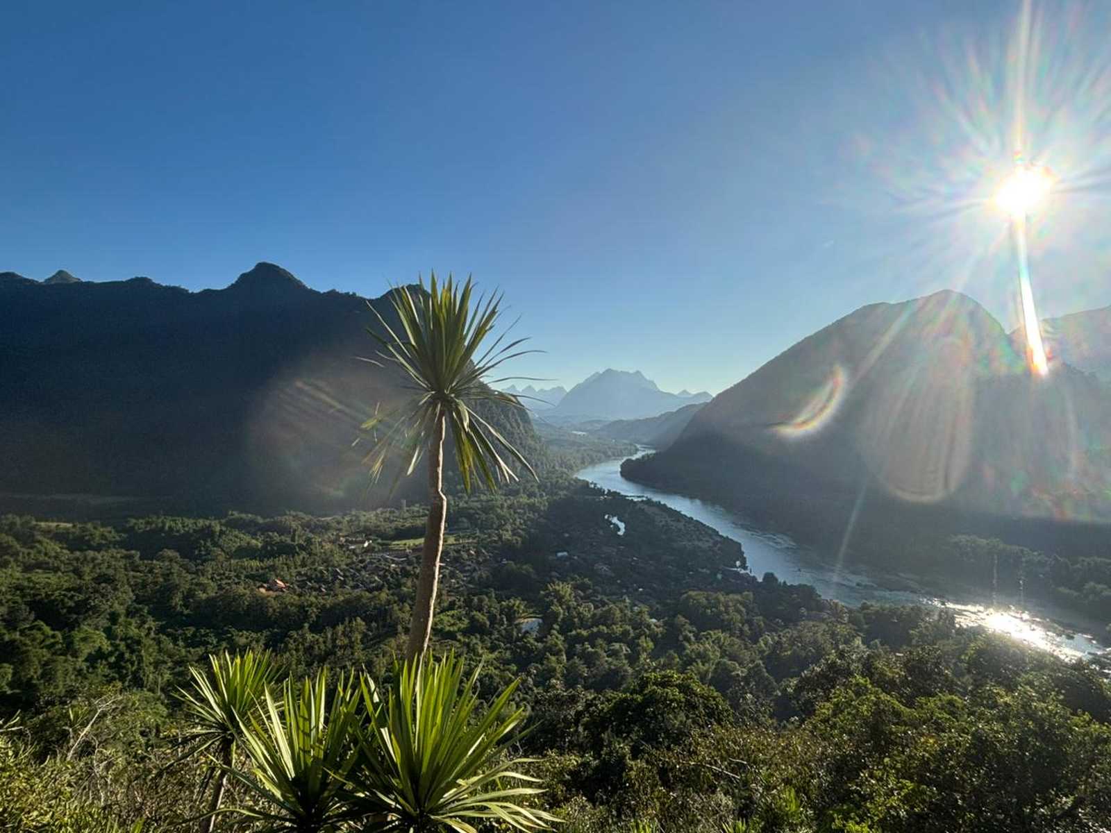 Paysage et palmier dans le nord du Laos © Bo
