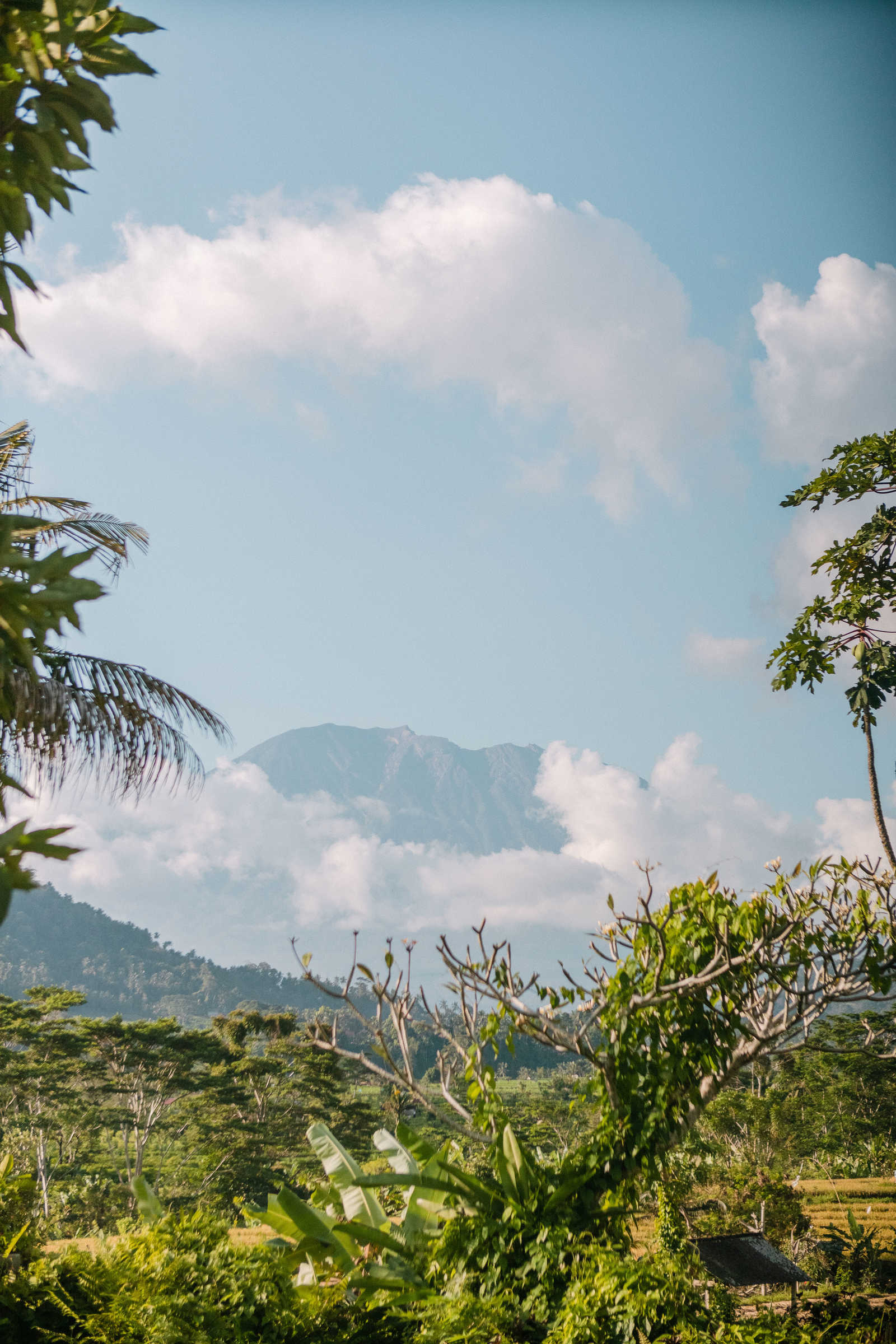 Paysage pendant une randonnée en Indonésie