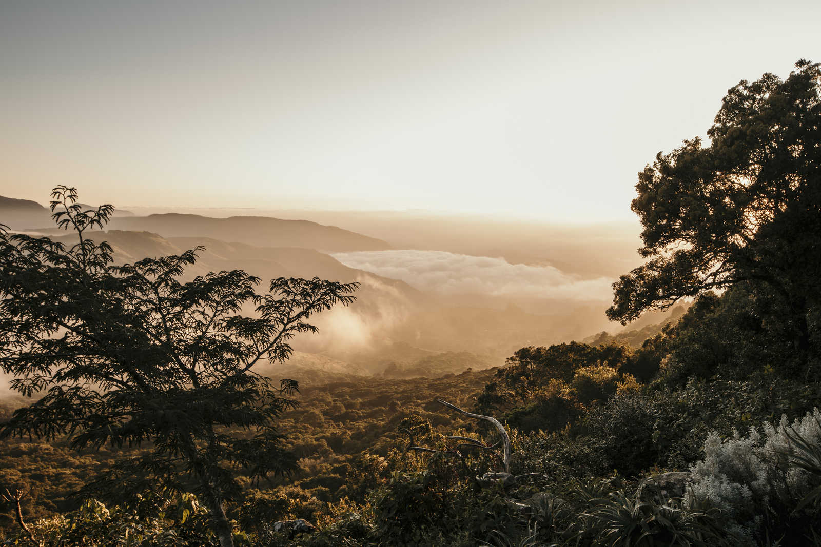 Paysage vallonée au Zimbabwe © Cragg Chris