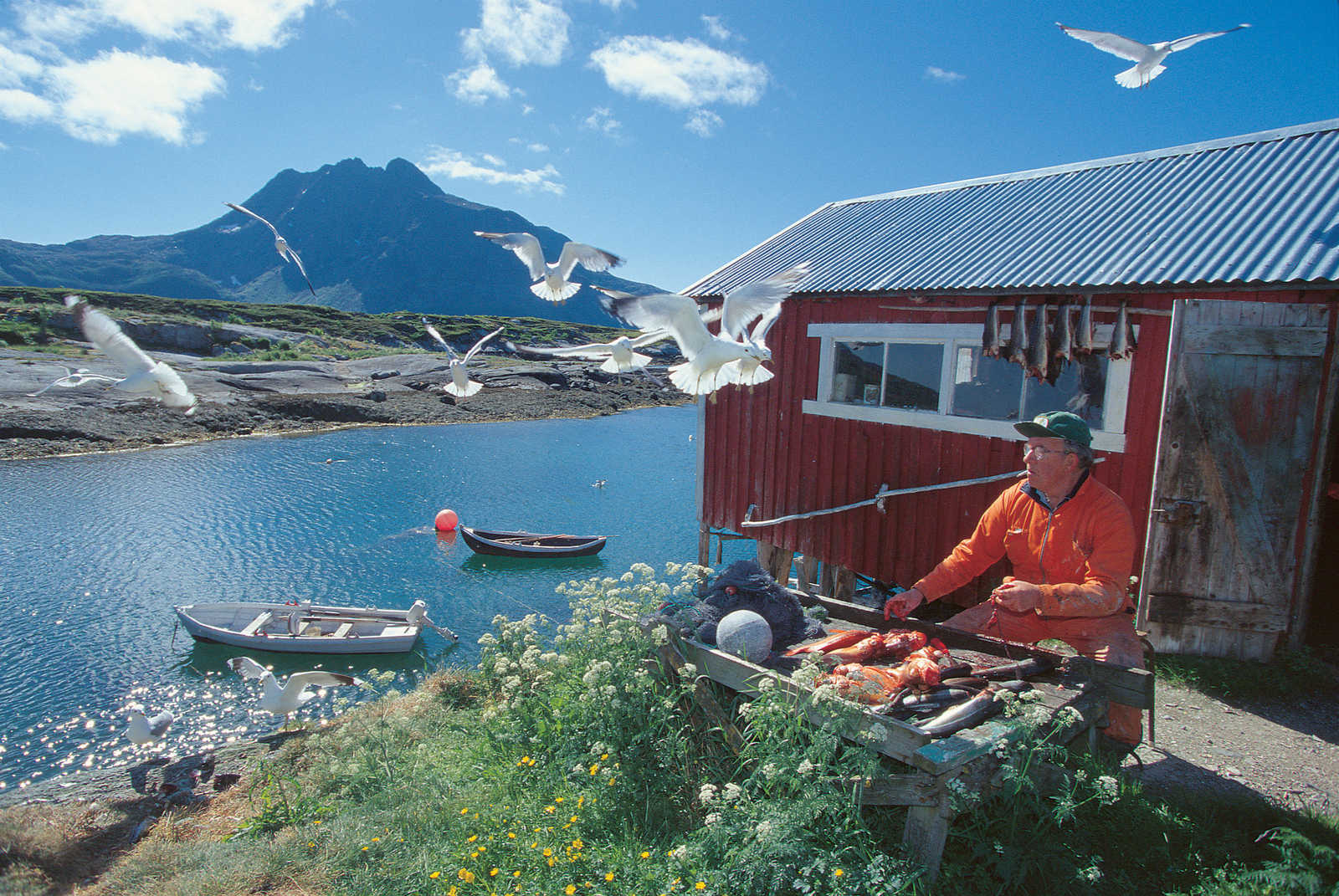 Image Laponie, Cap Nord et îles Lofoten
