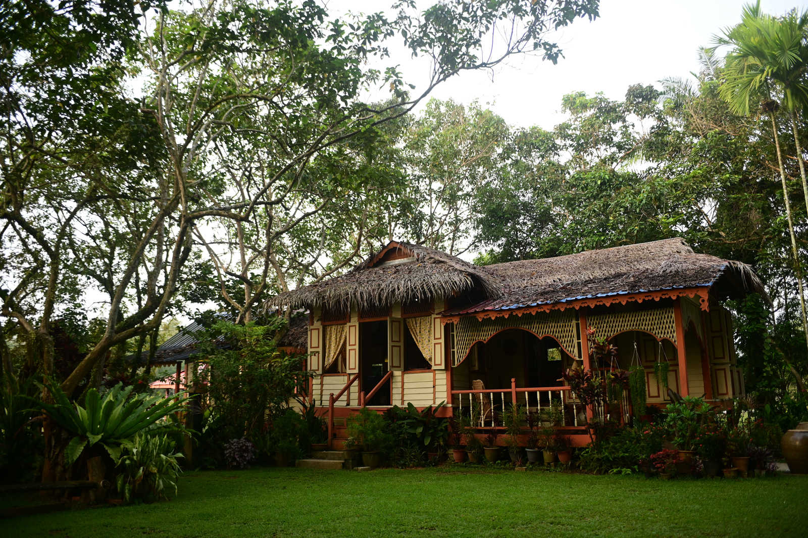 Perak, Malaisie © Longeau Lionel