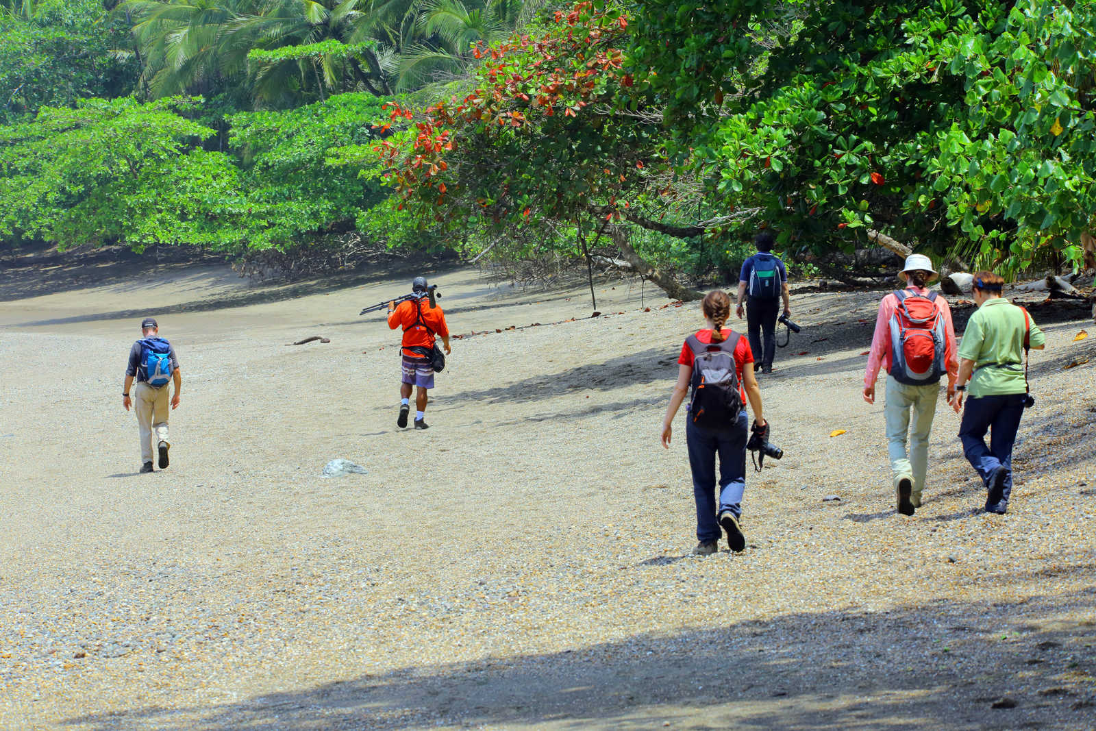 Petit groupe de randonneurs en bord de mer au Costa Rica © Tanguy De Saint Cyr