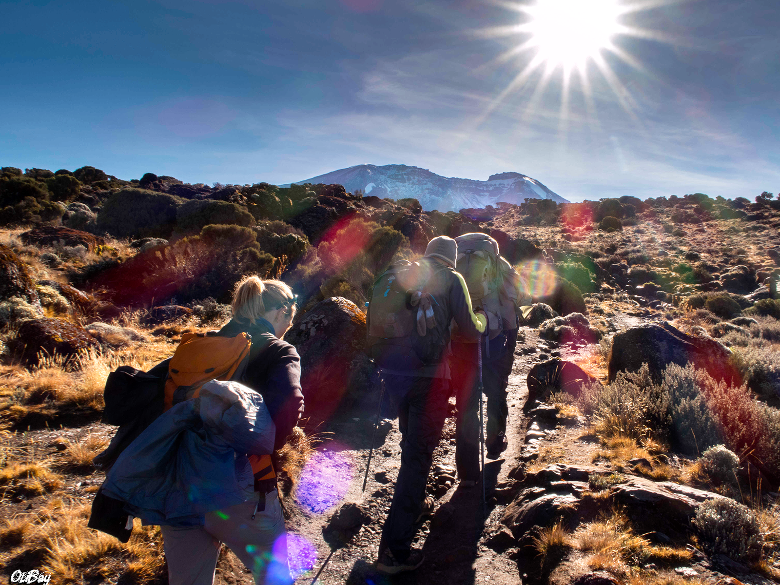 Petit groupe de randonneurs en train de marcher sur les laves des hauts plateaux de Shira en Tanzanie © Bayle Olivier