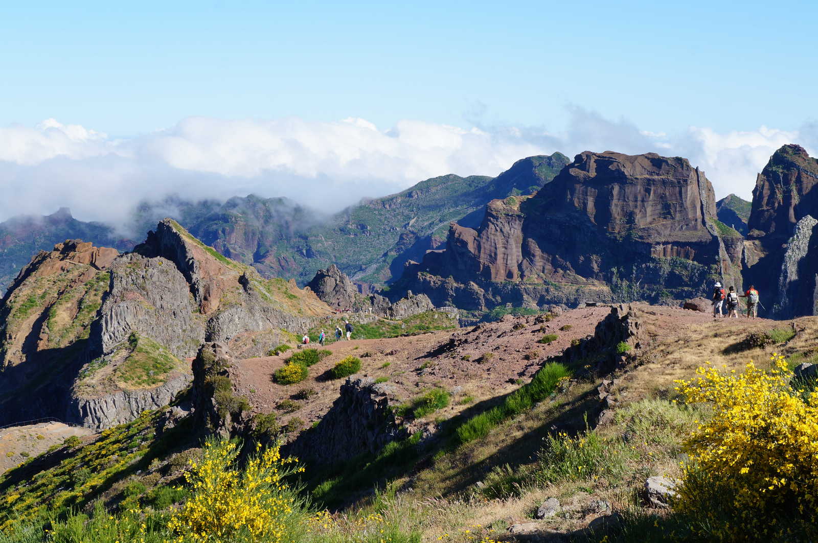 Picos à Madère © Wulser Yann