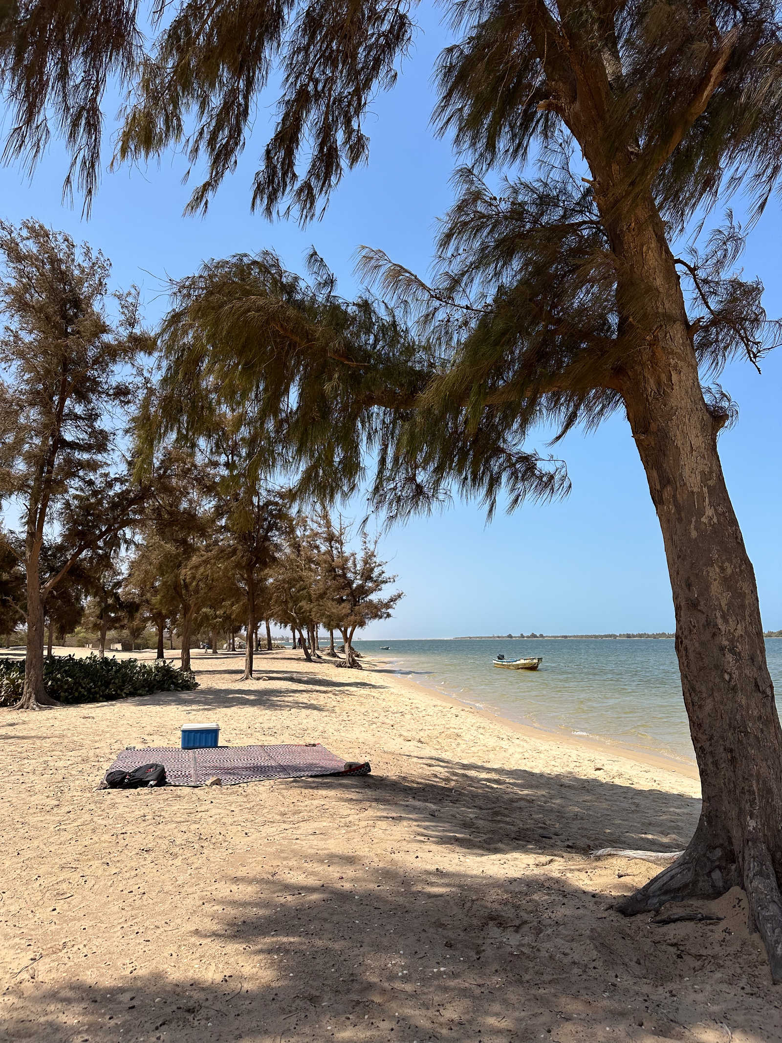 Pique-nique à la Langue De Barbarie, réserve naturelle au Sénégal © Geny Alice