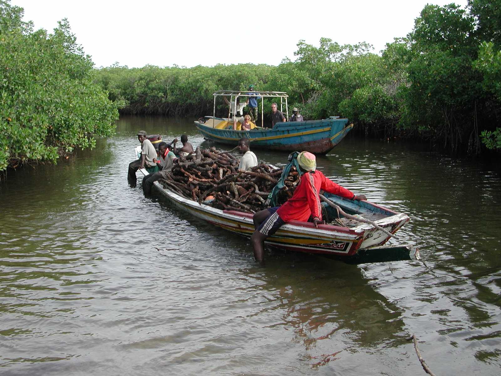 Rando Pirogue D'île En île Dans Le Sine Saloum - Voyage Sénégal | Atalante