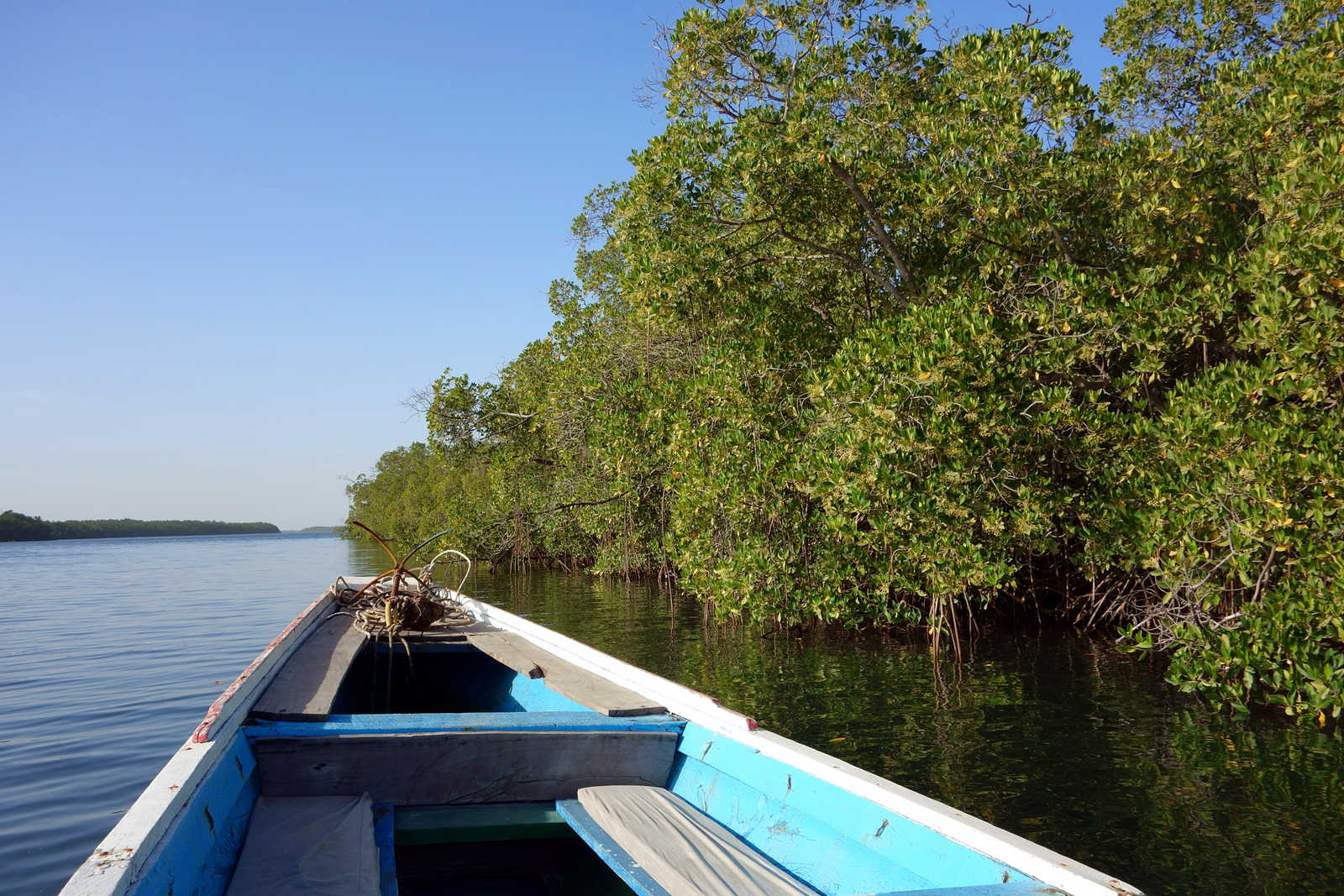 Pirogue dans le parc du Sine Saloum au Sénégal © Travel Nerd
