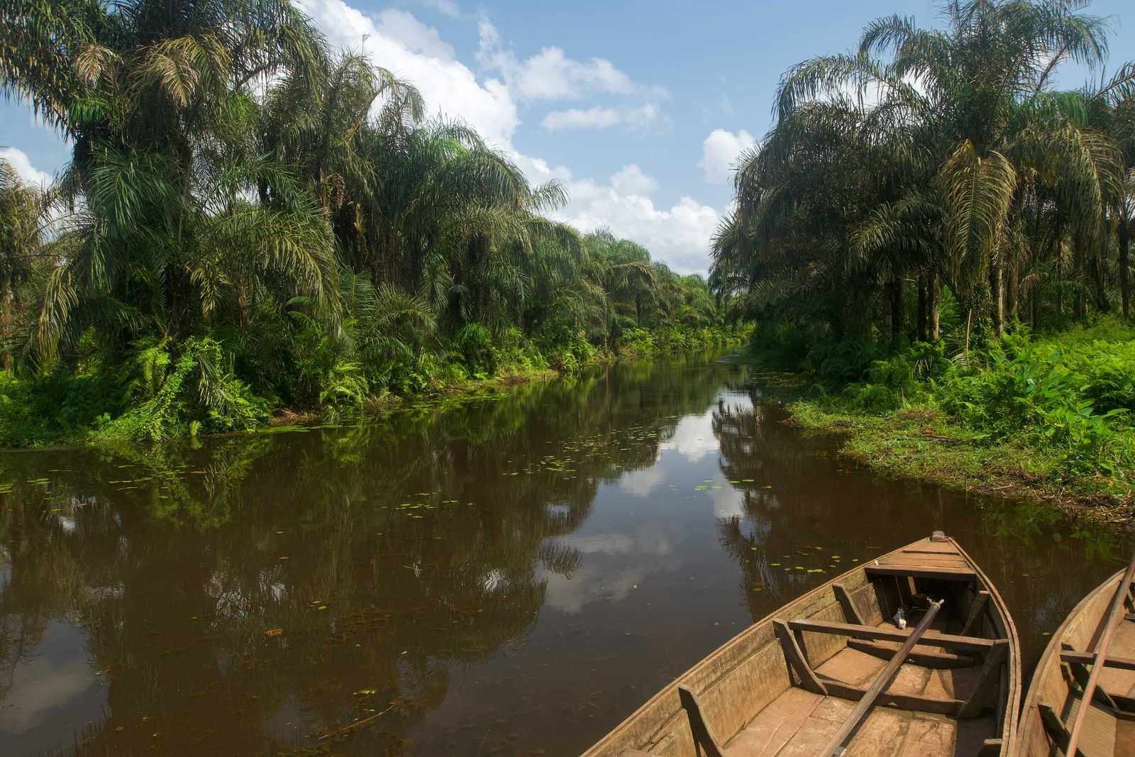 Pirogue sur la rivière noire au Bénin © James Nature Pics
