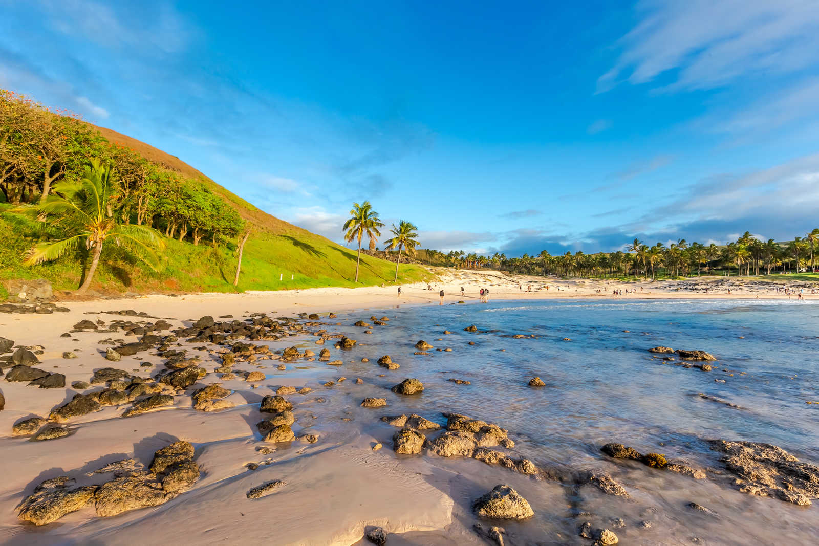 plage Anakena avec des palmiers sur l'ile de Paques © Marabelo
