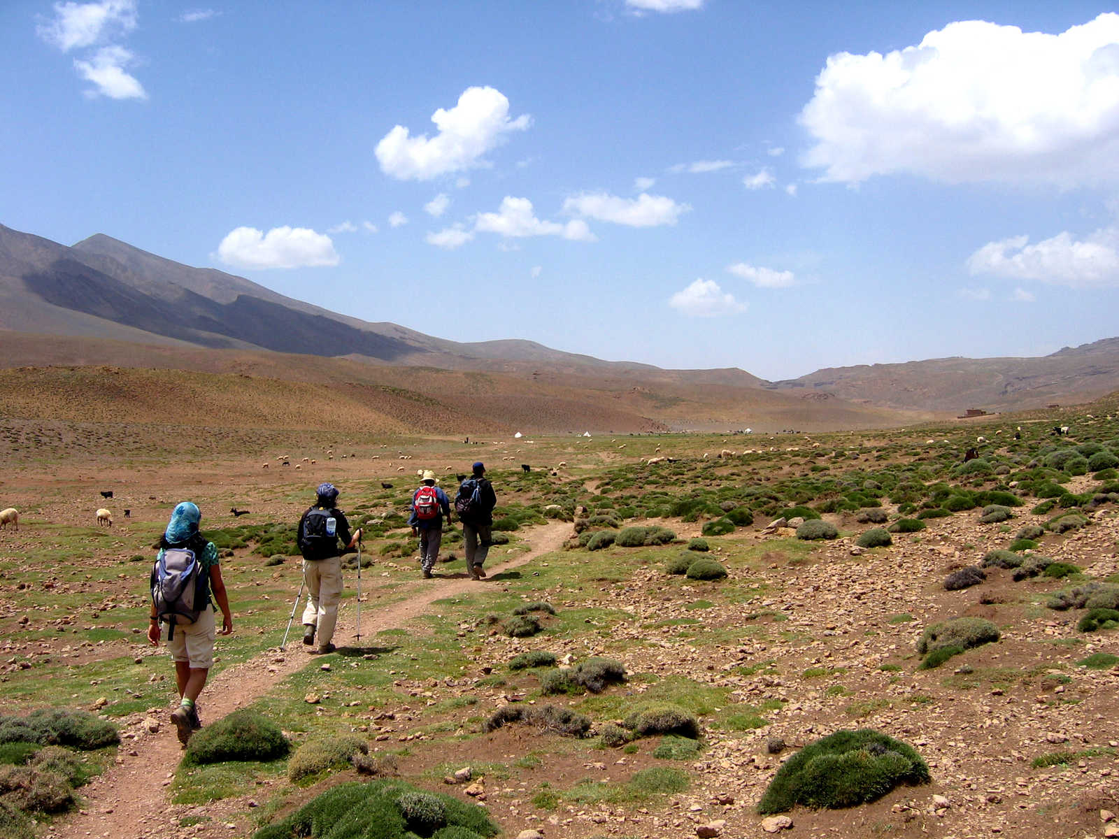 Plateau de Tarkeddit, au pied du M'Goun, Maroc © Martin Laprade Nicolas