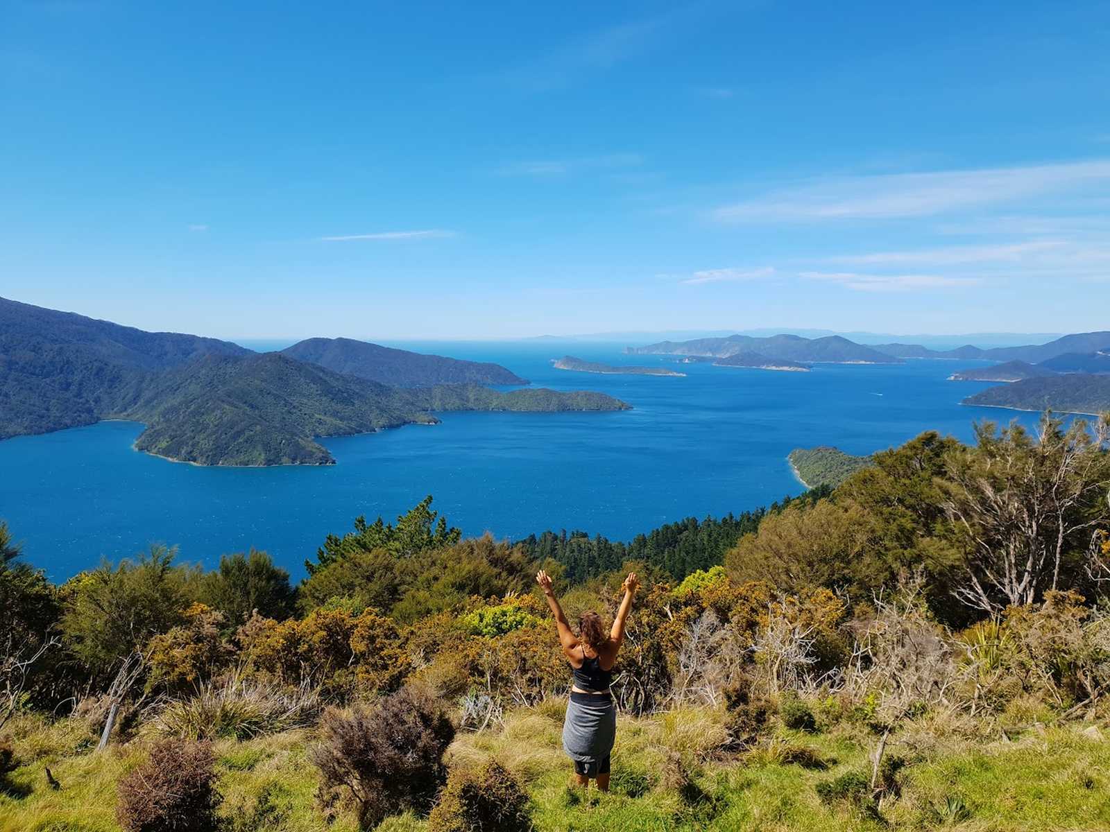 Point de vue depuis le Queen Charlotte Track © Resta Lidia