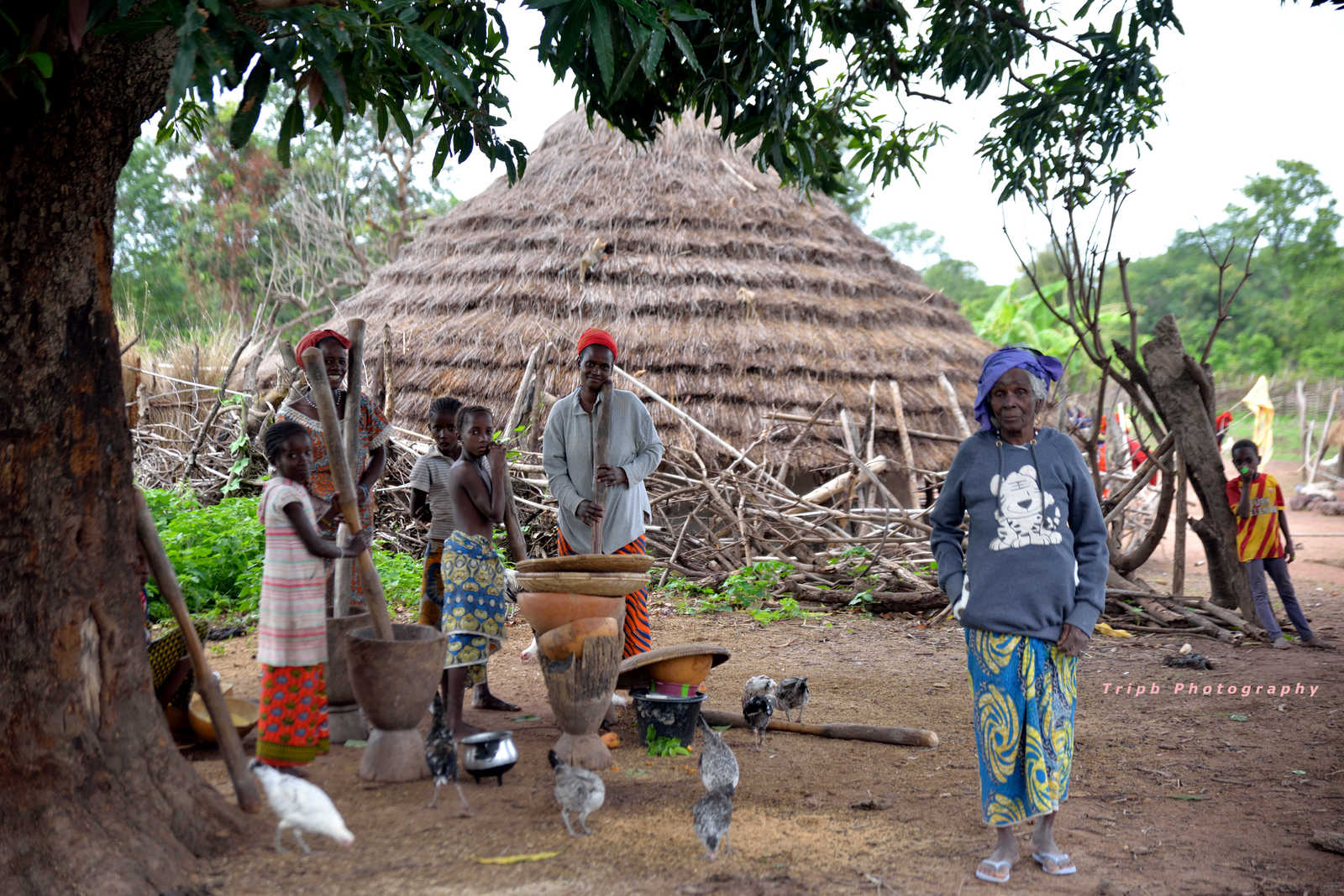 Population locale qui boie des aliments avec un pilon en Guinée © Tripb Photography