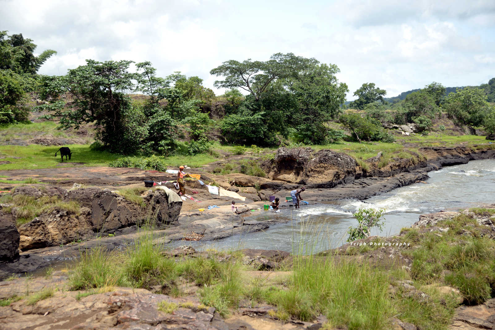 Population locale qui fait sa lessive dans une rivière en Guinée © Tripb Photography