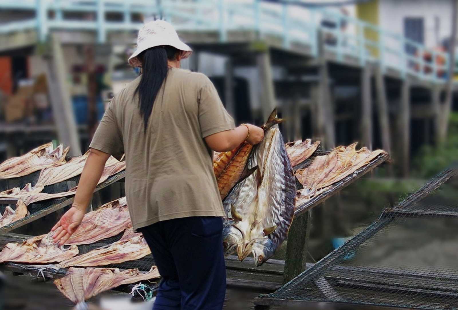 Pulau Ketam, Malaisie © Longeau Lionel