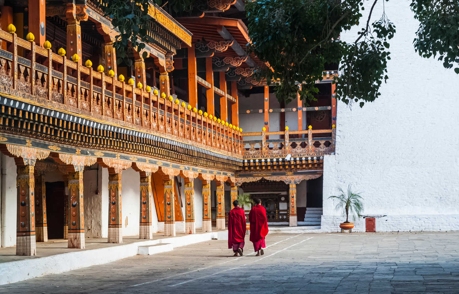 Punakha Dzong  au Bhoutan © Mashkevych Kateryna