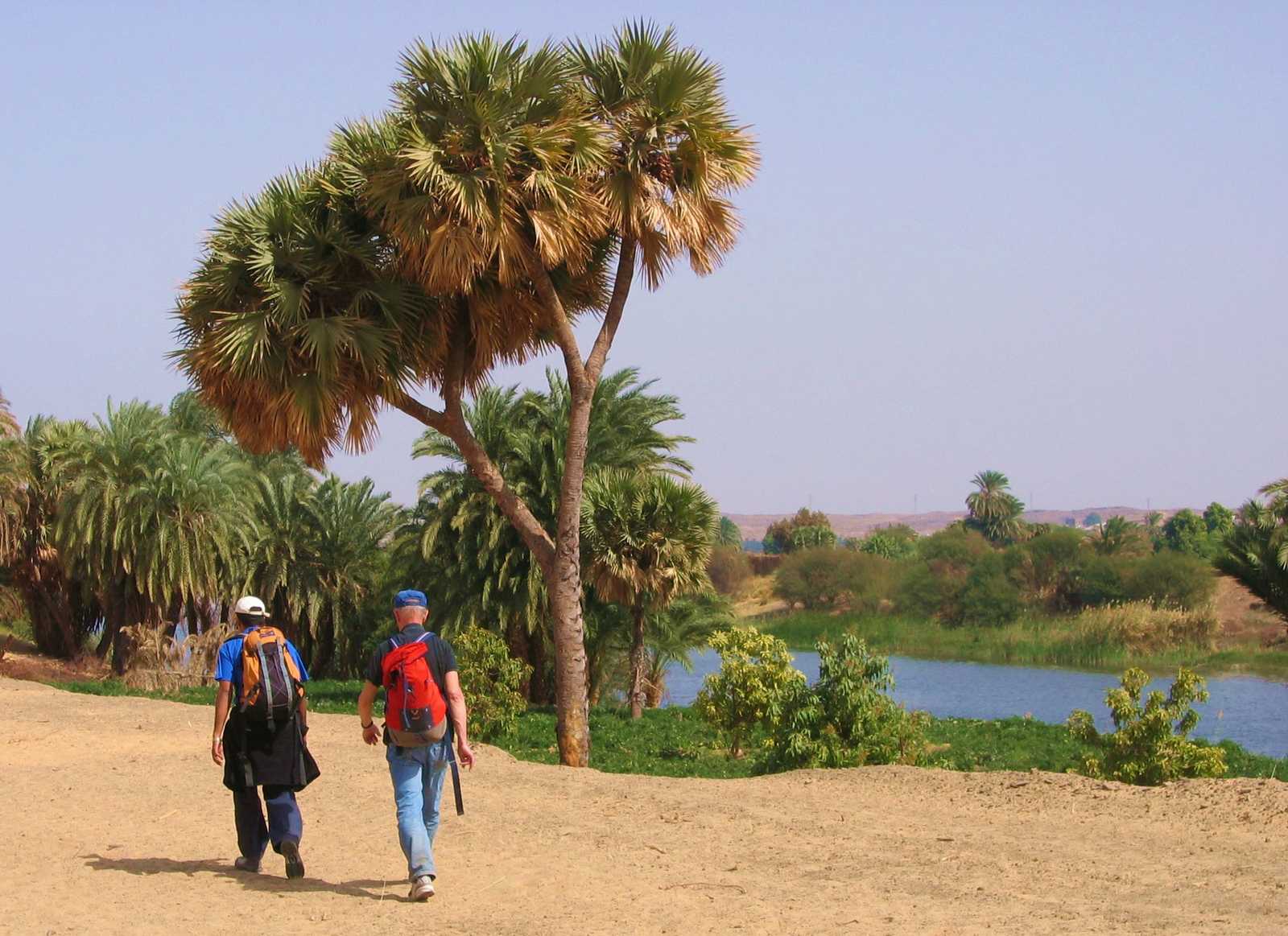 Rando au bord du Nil, Egypte © Martin Laprade Nicolas
