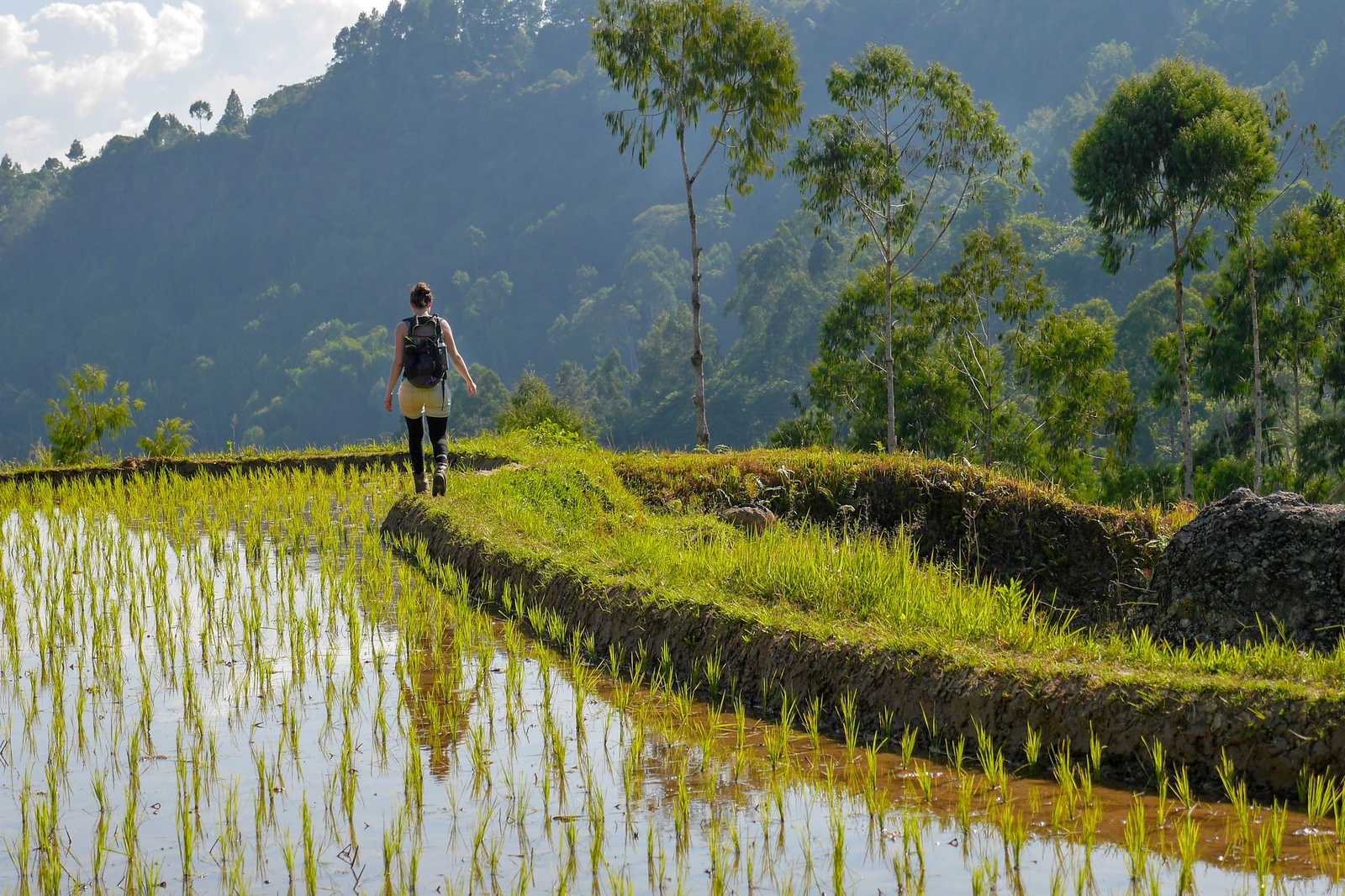 Image Bali, tout simplement