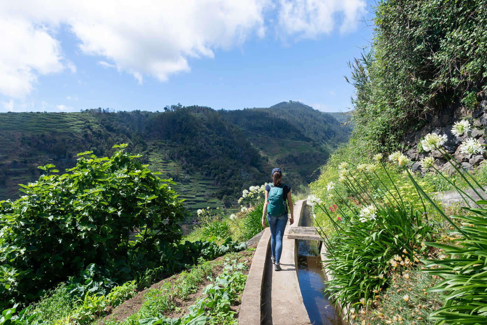 Randonnée à Madère le long d'une levada, Madère © Plumette Suzanne