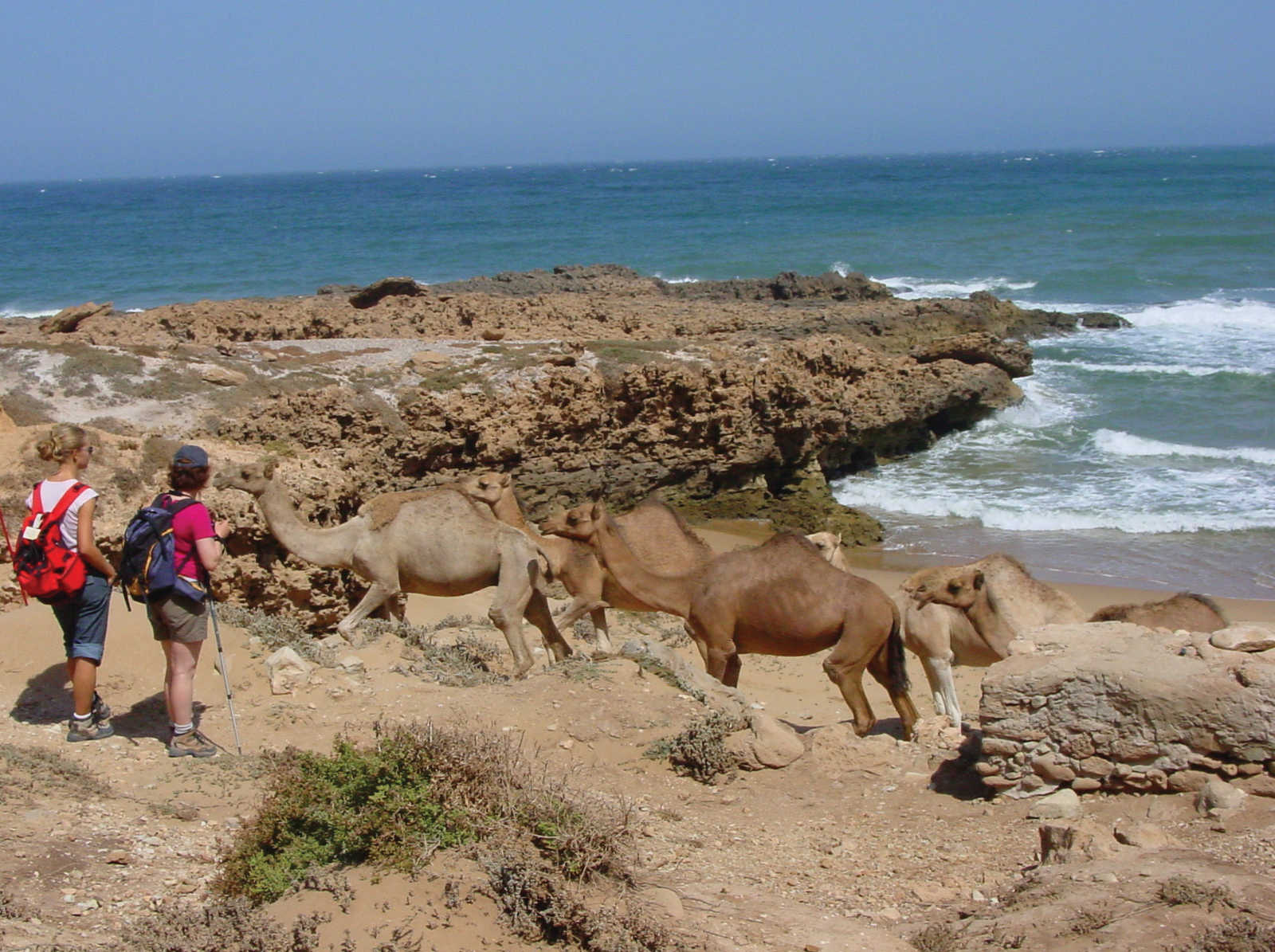 Randonnée chamelière famille côte atlantique, Maroc © Martin Laprade Nicolas