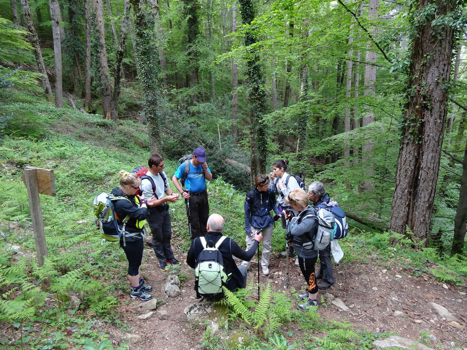 Randonnée dans la forêt de Vizzavona © O. LACAZE
