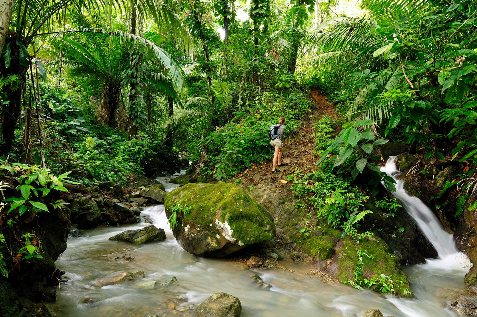 Randonnée dans la jungle du Darien © Cichawa Rafal