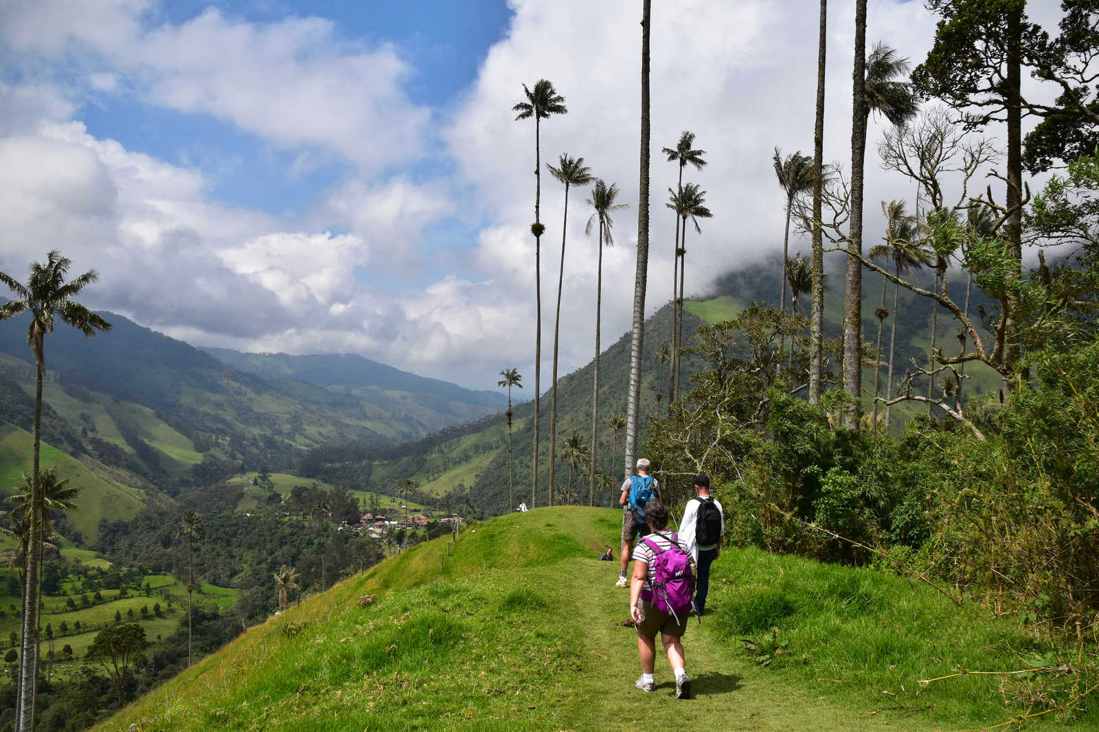 Randonnée dans la Vallée de Cocora © Dufy Caroline