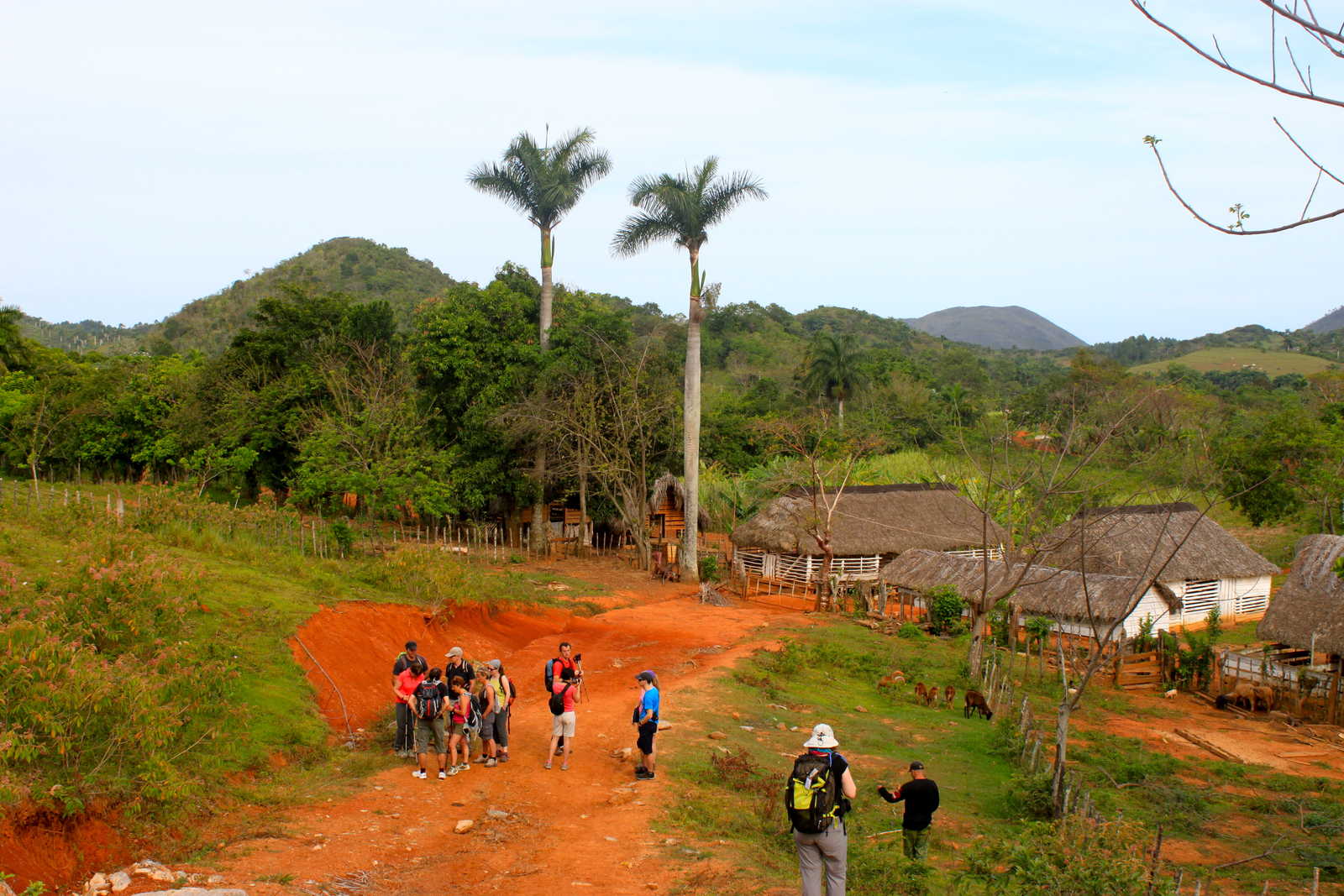 Randonnée dans la vallée de Vinales © Dufy Caroline