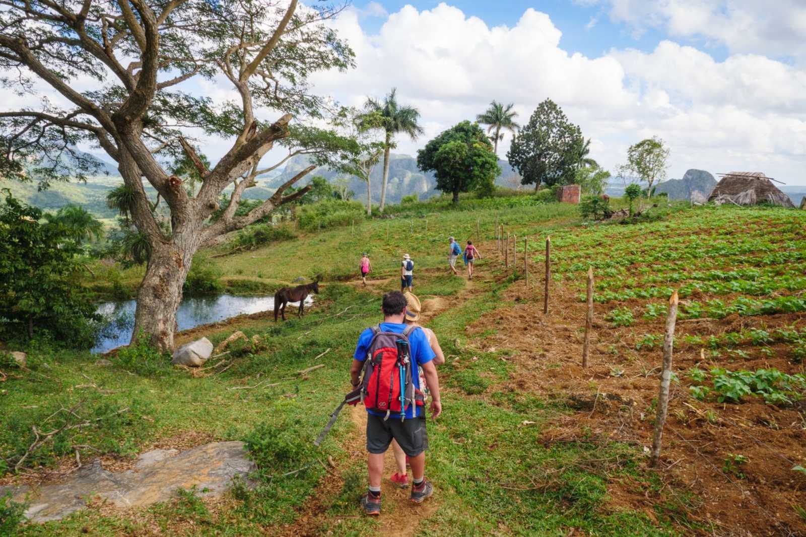 Randonnée dans la vallée de Viñales © Sinssaine Bertrand