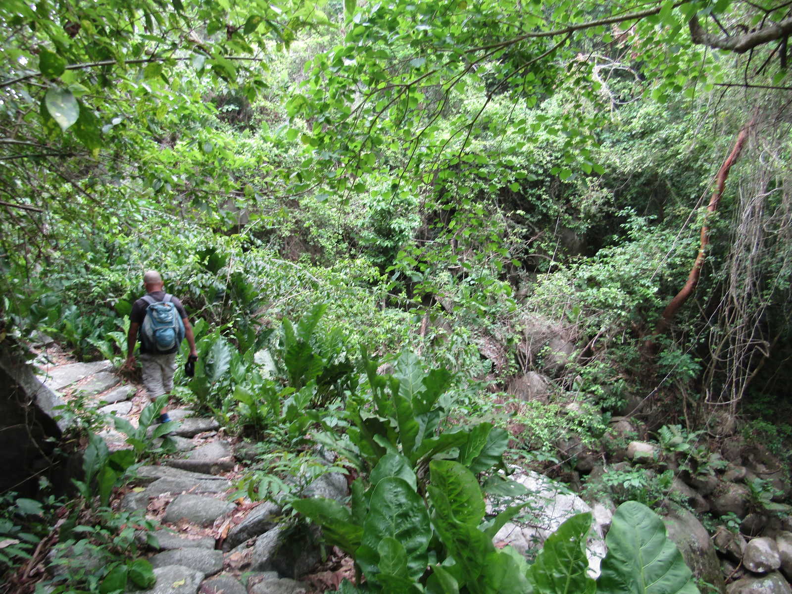 Randonnée dans le parc Tayrona © Petin Olivier