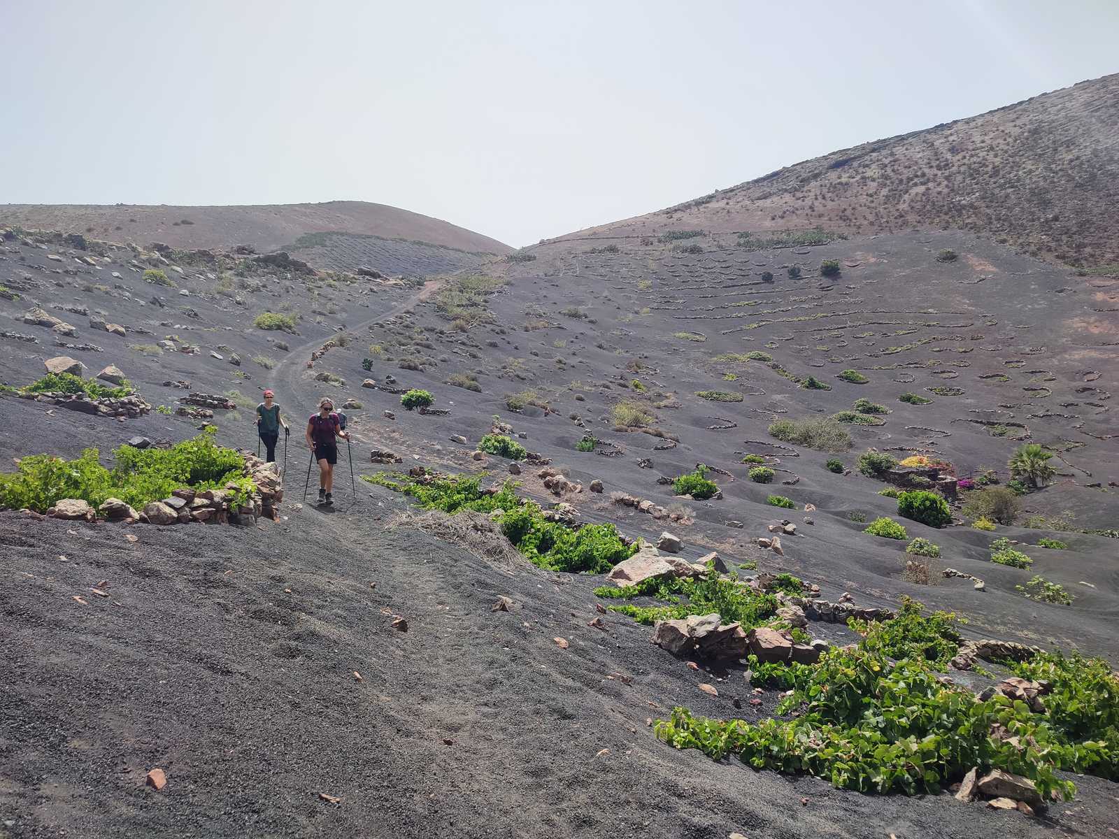 Randonnée dans le vignoble de la Geria  aux îles Canaries © Andrevon Pénélope