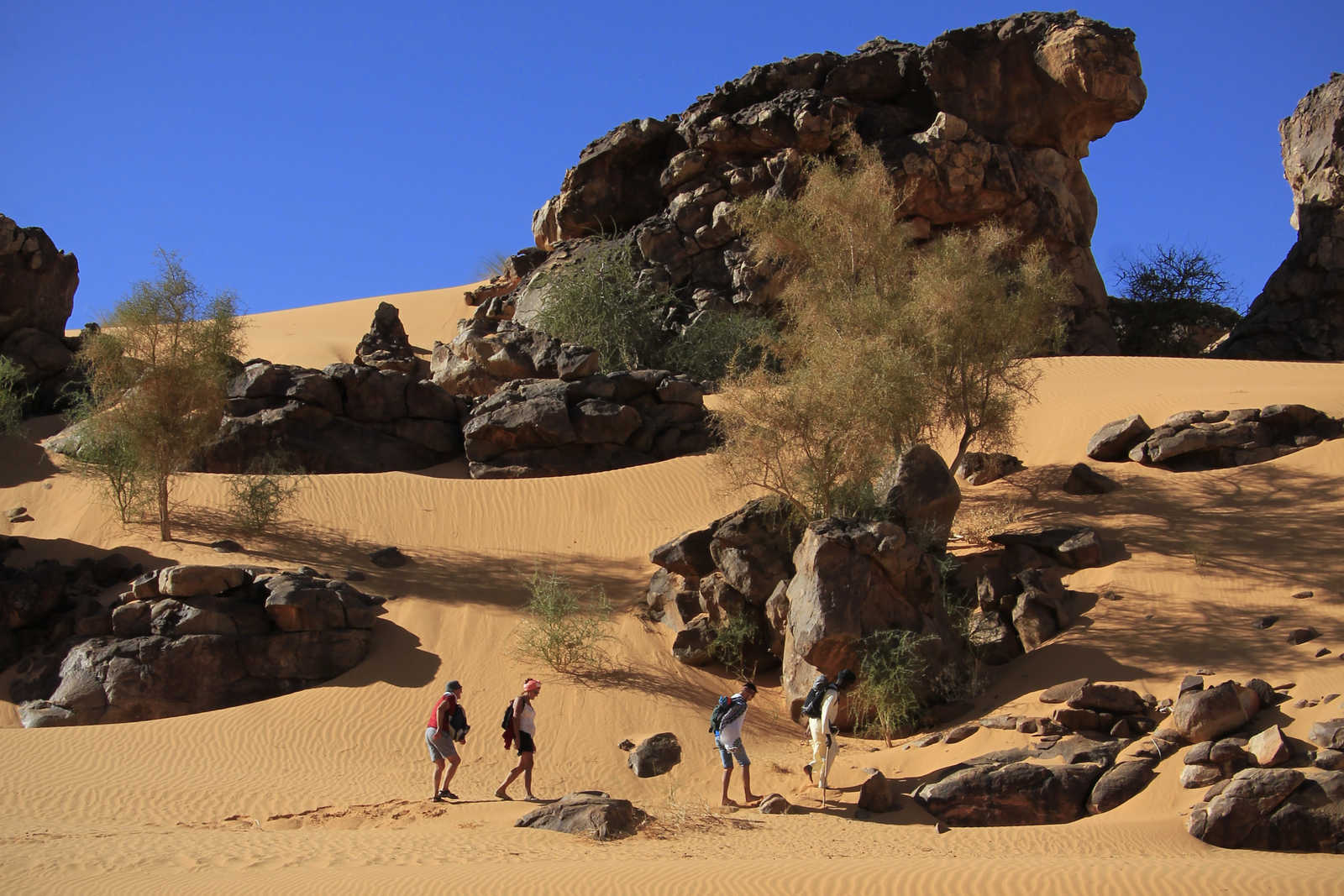 Randonnée dans les dunes de l'Erg Ouarane en Mauritanie © Buchatz Jéromine