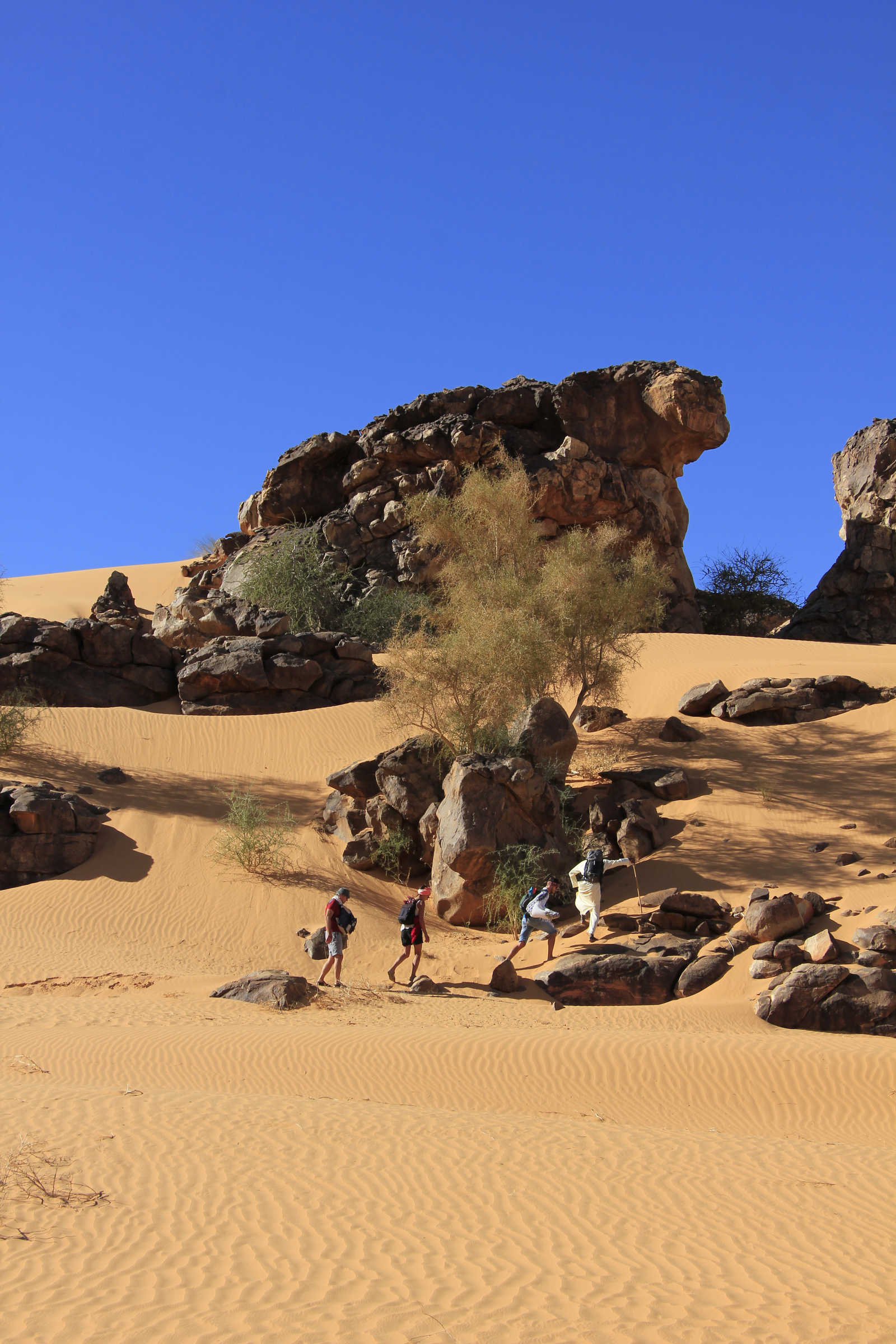 Randonnée dans les dunes de l'Erg Ouarane en Mauritanie © Buchatz Jéromine