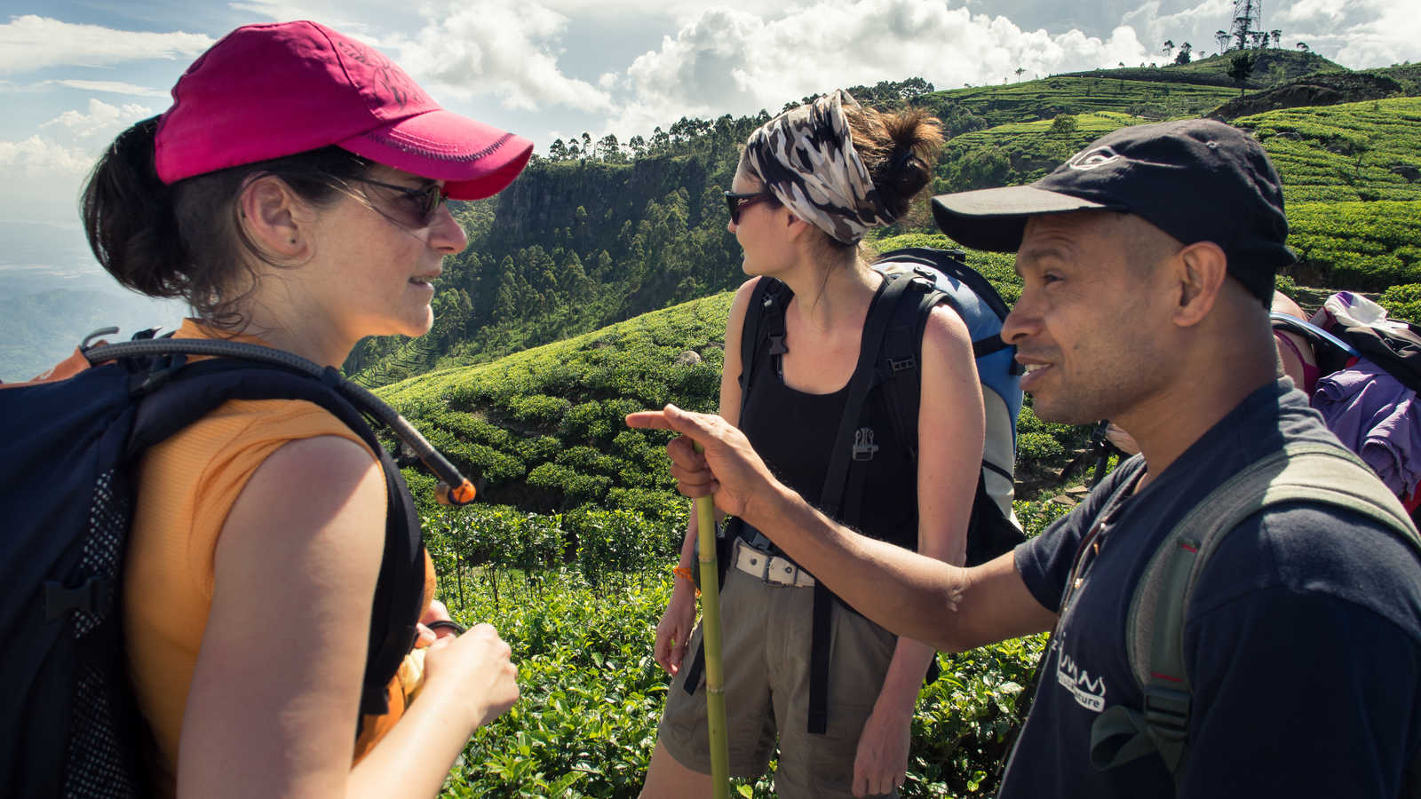 Randonnée dans les plantations de thé de Nuwara Eliya © Jadot Audrey