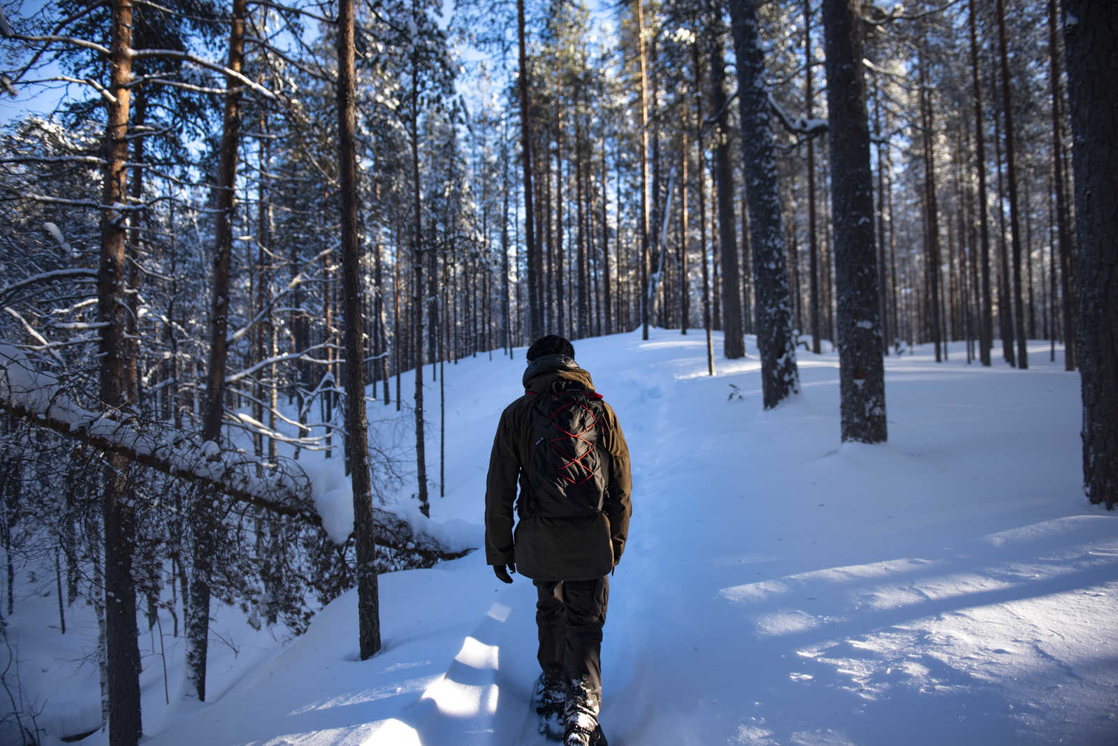 Chaussures De Sport Et Sac à Dos De Couleur Bleue Sur Le Bois Dans La Forêt