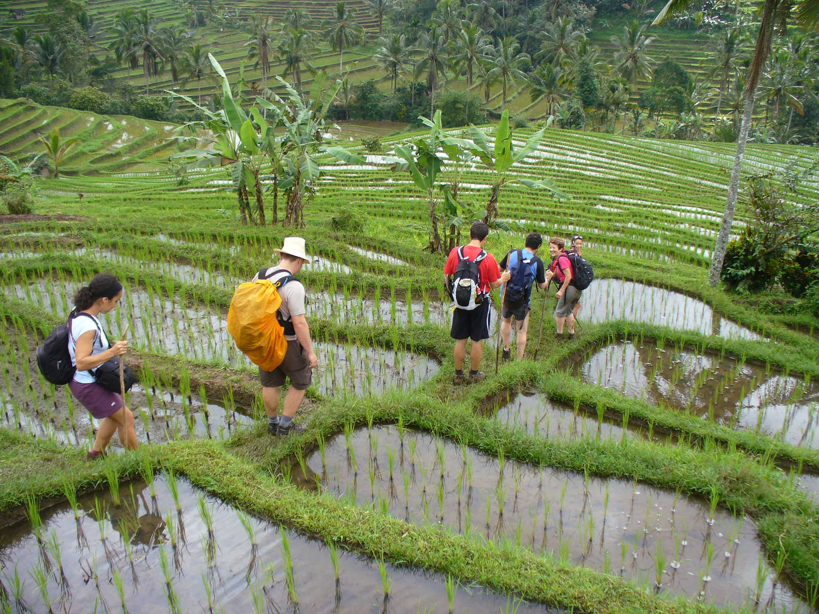 Randonnée dans les rizières vers jatiluwih, Bali © Bonnemaison Olivier