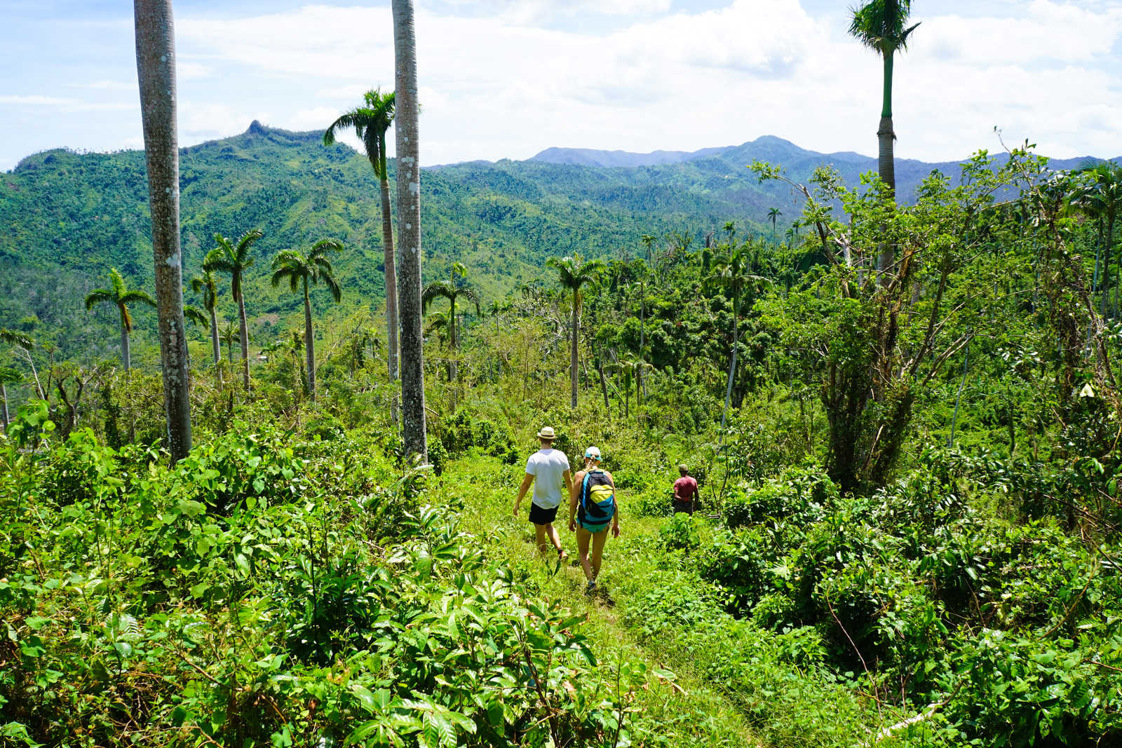 Randonnée tropicale en montagne © Jordan