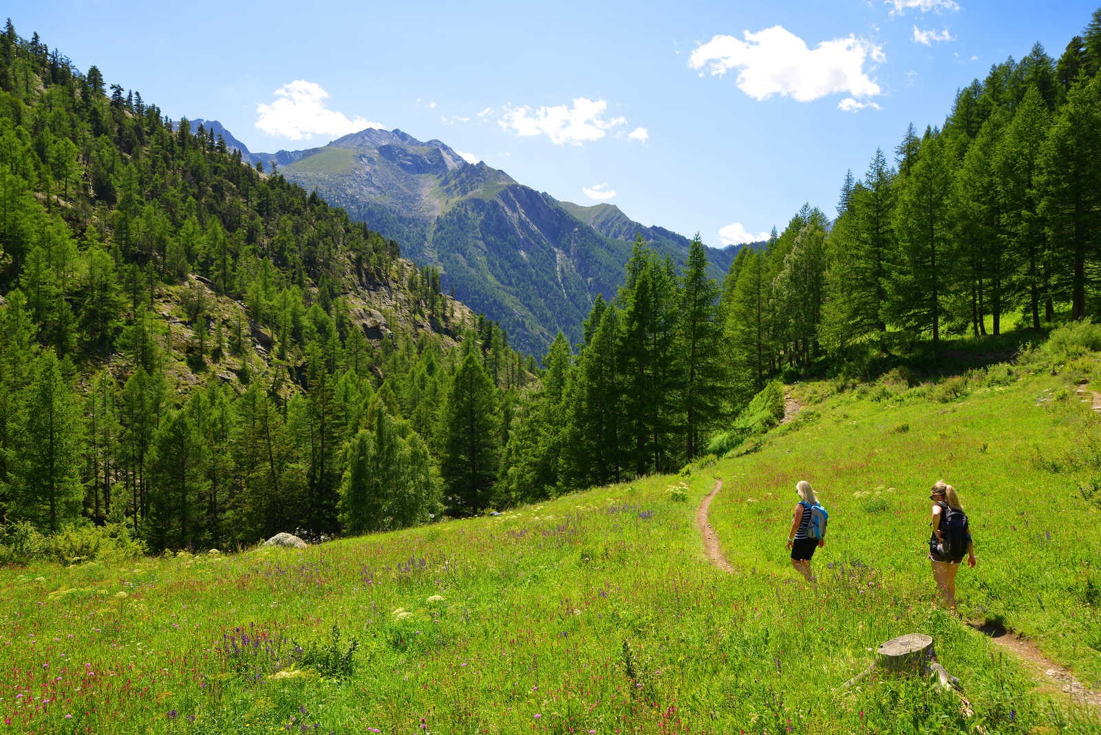 Randonneurs dans le parc national du Gran Paradiso © Vencav