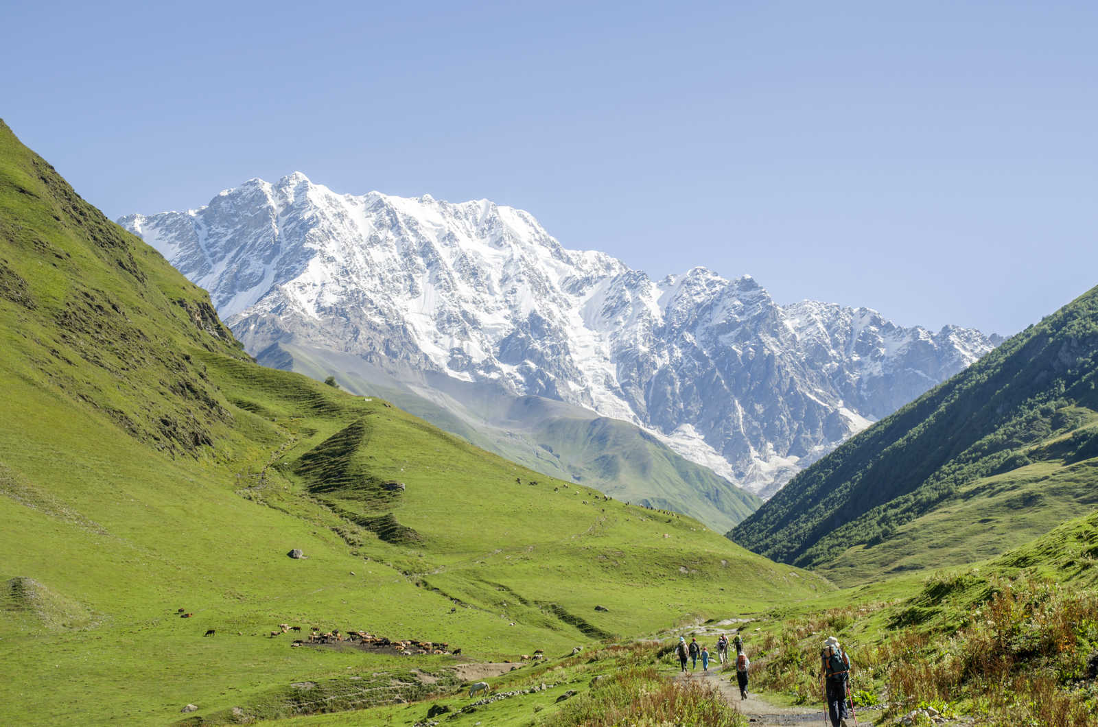 Randonneurs face au Glacier Shkhara dans la vallée de la rivière Ingouri, Svanétie, Géorgie © iStock