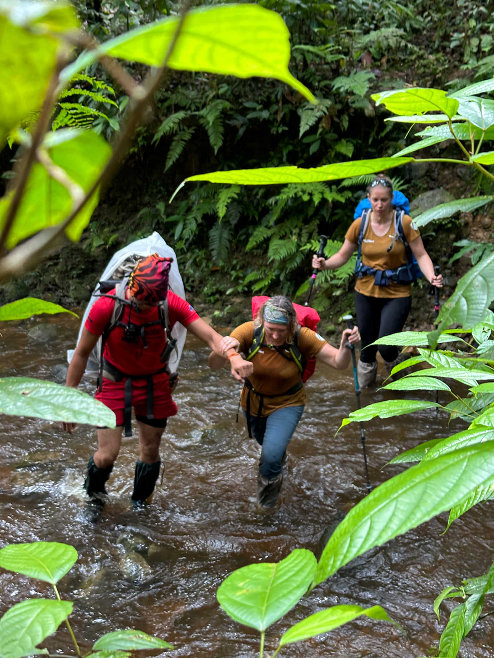 Randonneurs s'aidant à traverser une rivière pendant le trek du TTI en Malaisie © Barbier Audrey