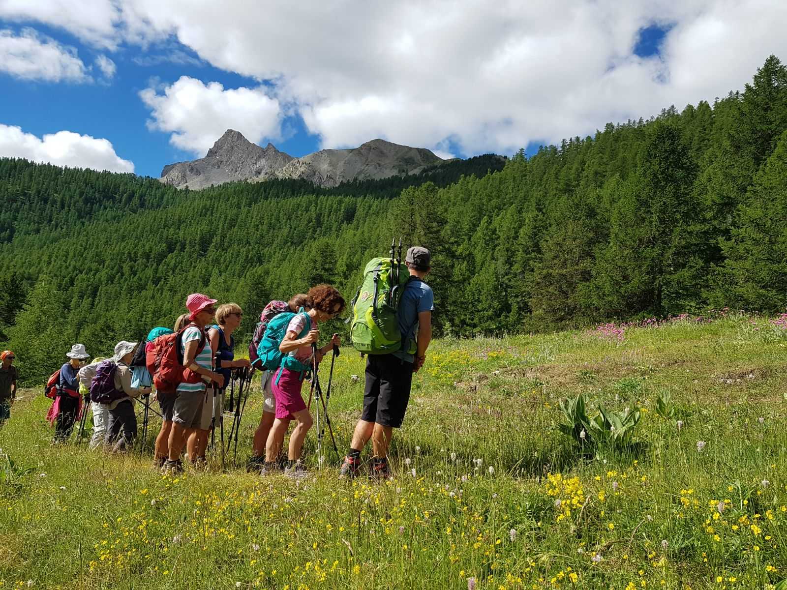Randonneurs sur les balcons du Queyras © Destination Queyras