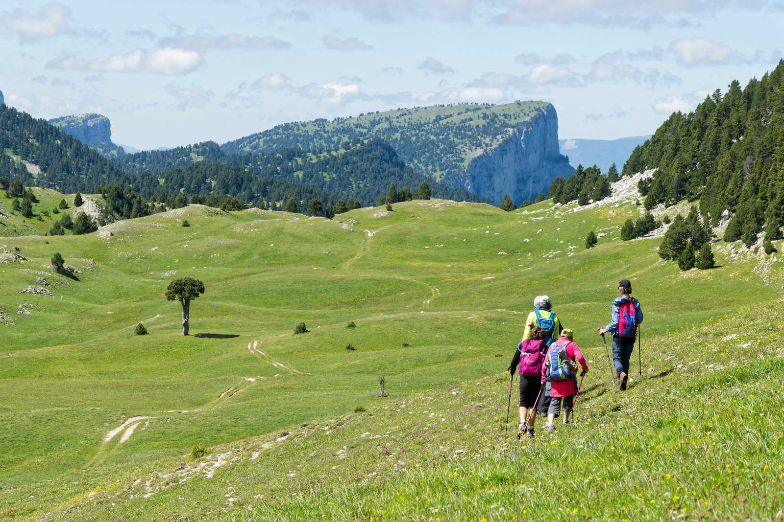 Randonneurs sur les hauts plateaux  du Vercors dans les Alpes © Sidelzant38