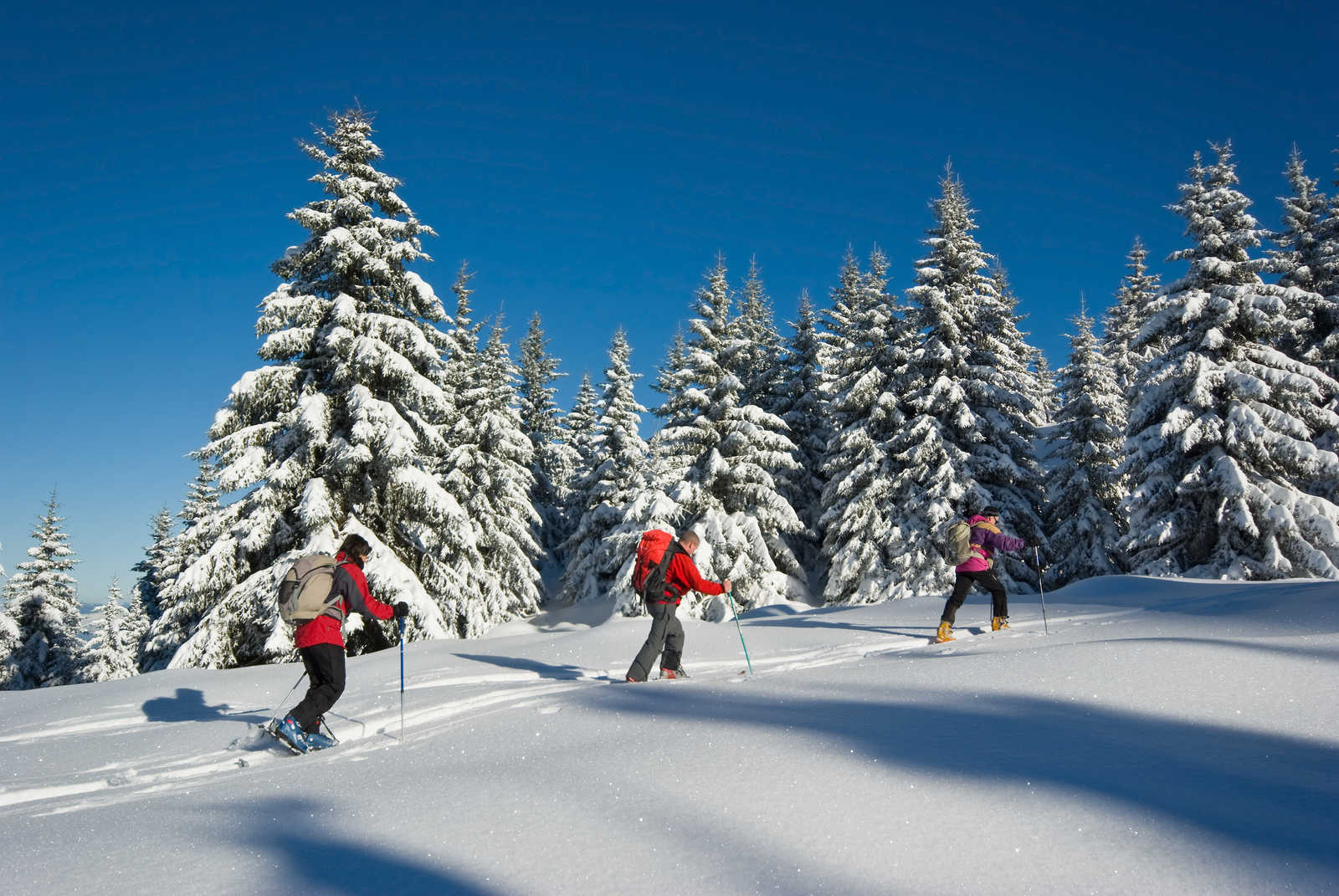Raquettes à neige dans les Alpes © B. Bouvier - Adobe Stock